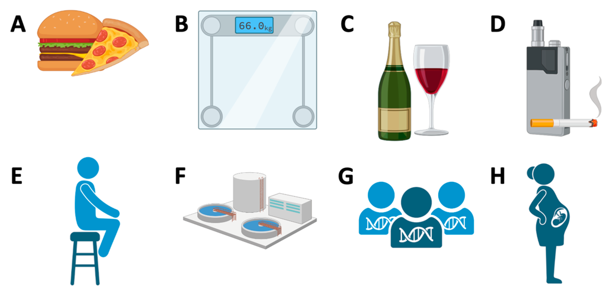Metabolites 13 00703 g001 Metabolites 13 00703 g001