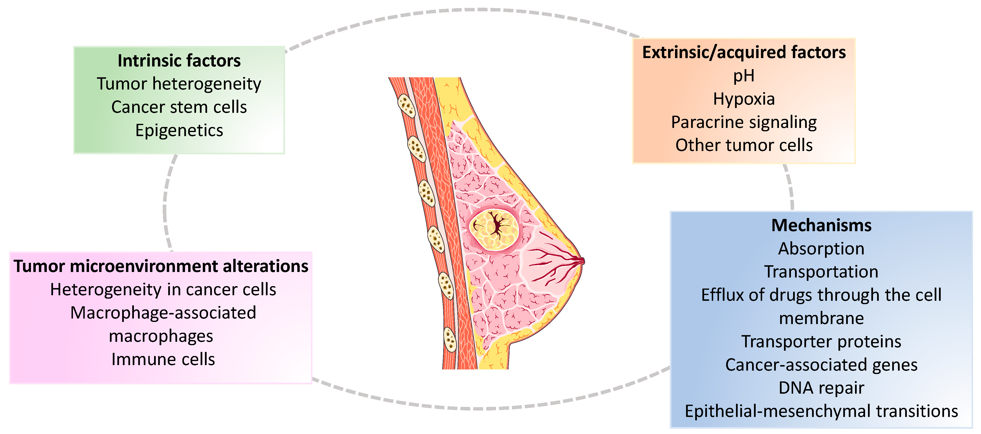 Metabolites 13 00703 g002 Metabolites 13 00703 g002