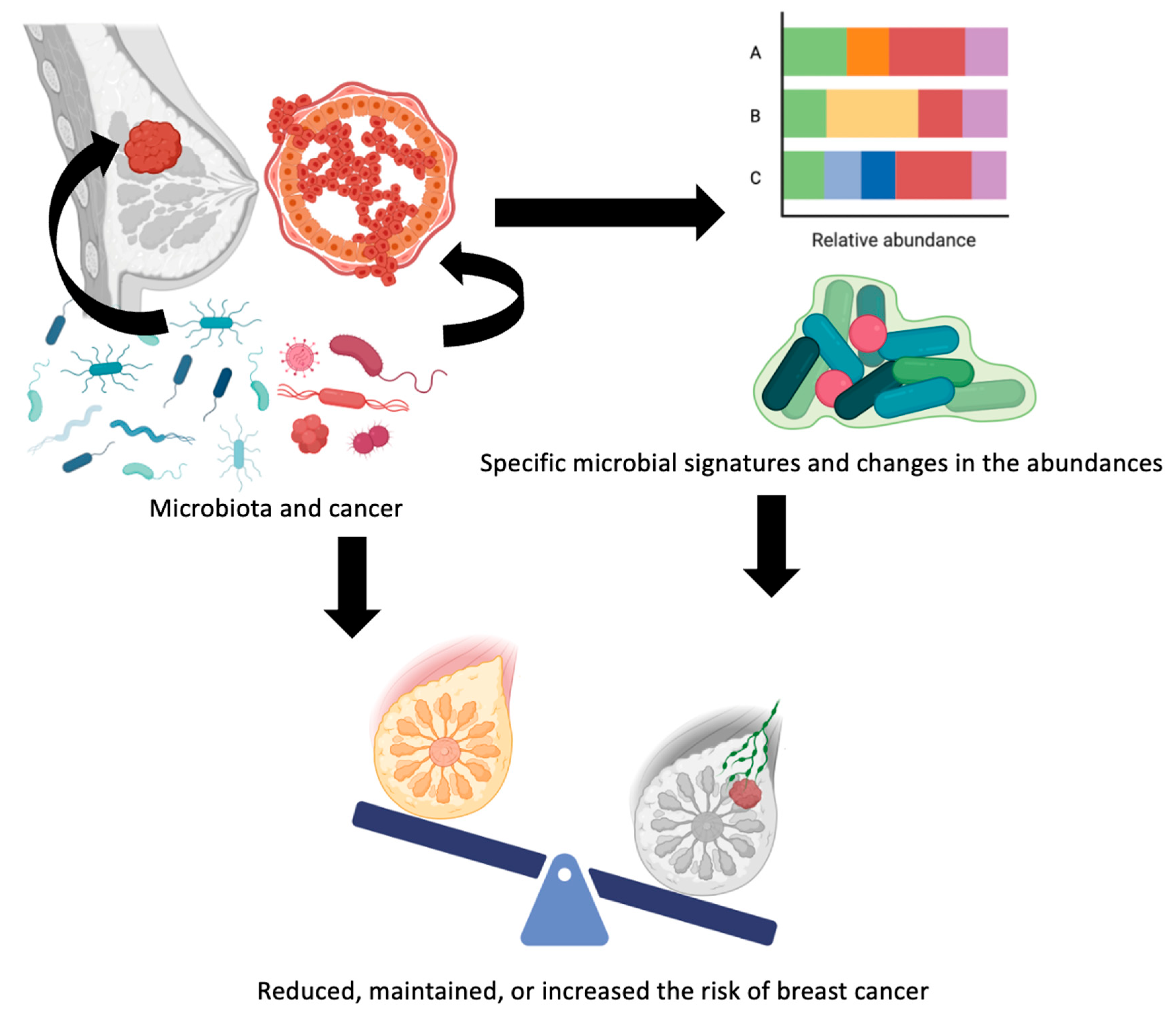 Metabolites 13 00703 g003 Metabolites 13 00703 g003