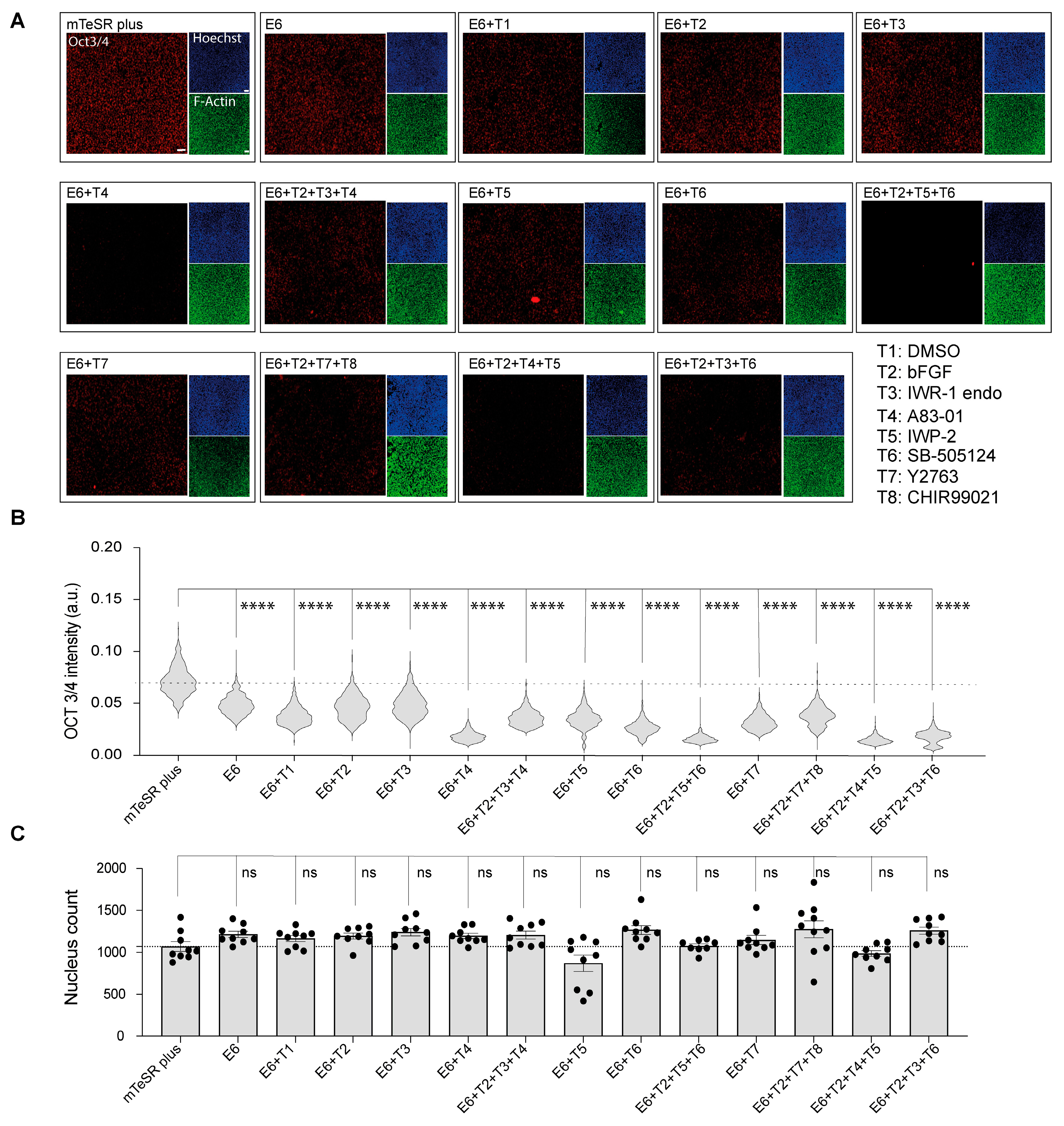 Metabolites 13 00706 g001 Metabolites 13 00706 g001