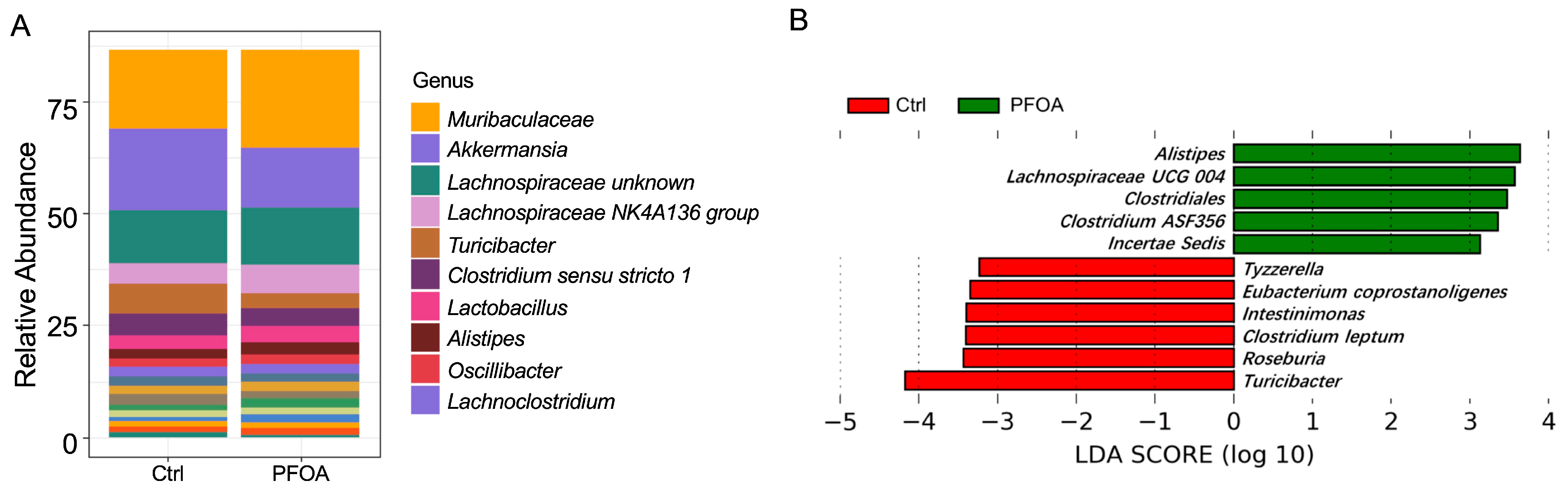 Metabolites 13 00707 g001
