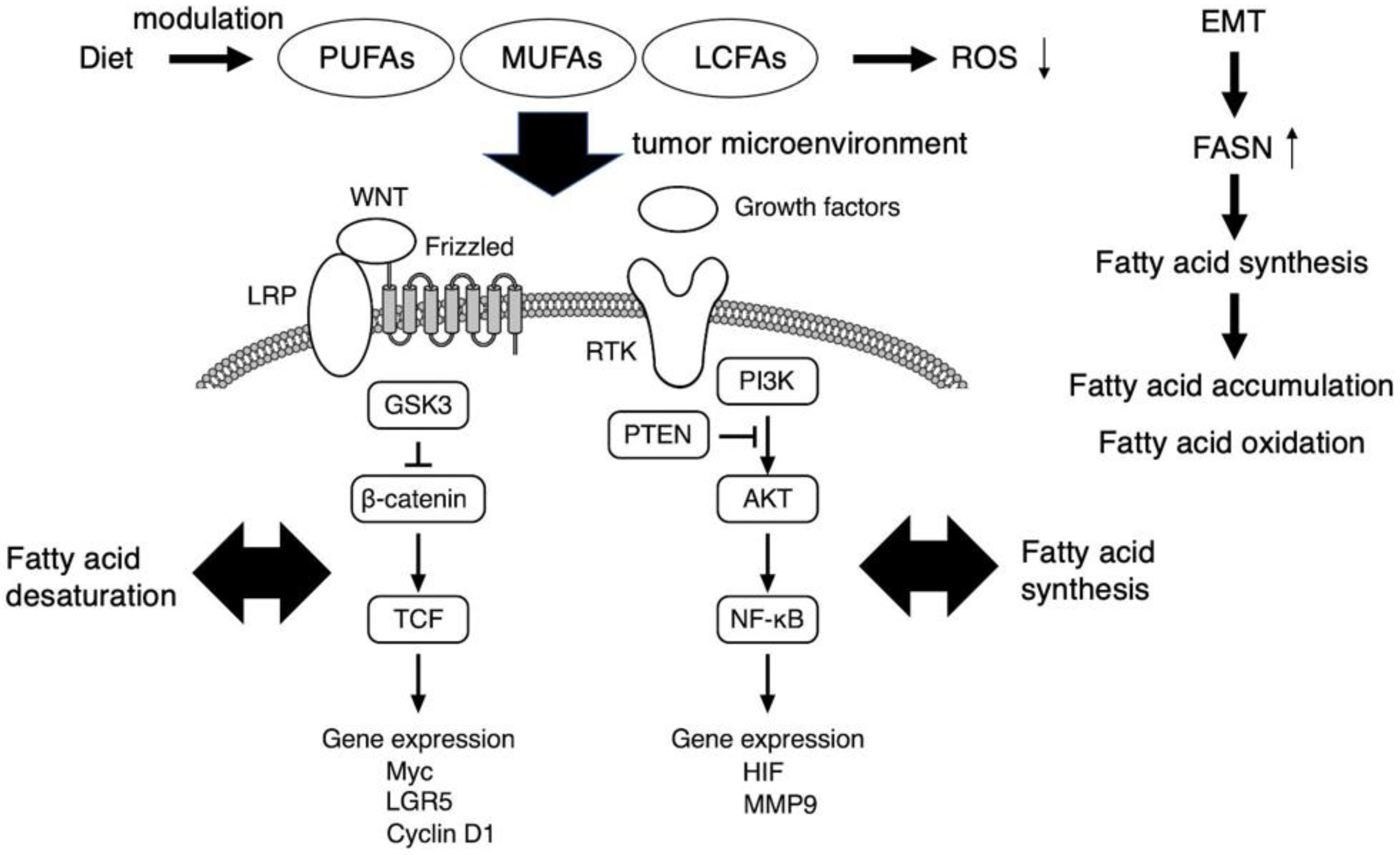 Metabolites 13 00709 g001 Metabolites 13 00709 g001