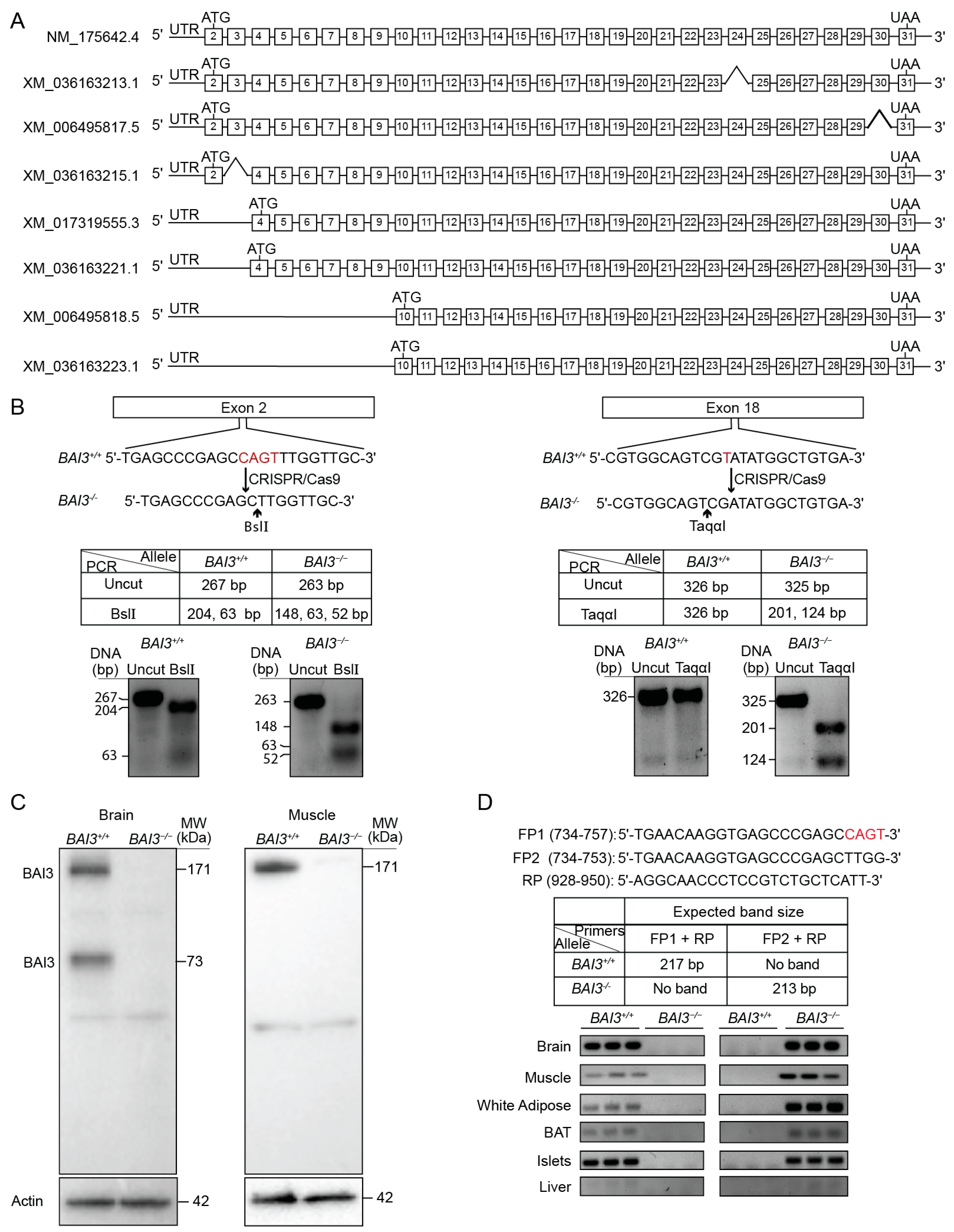 Metabolites 13 00711 g001 Metabolites 13 00711 g001