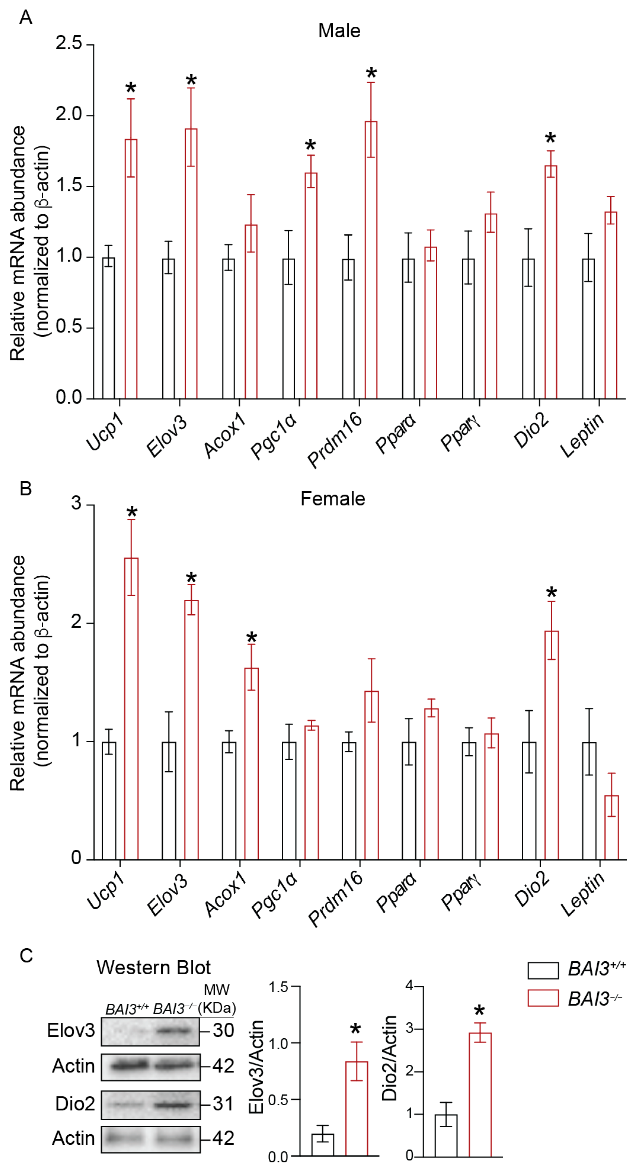 Metabolites 13 00711 g007 Metabolites 13 00711 g007