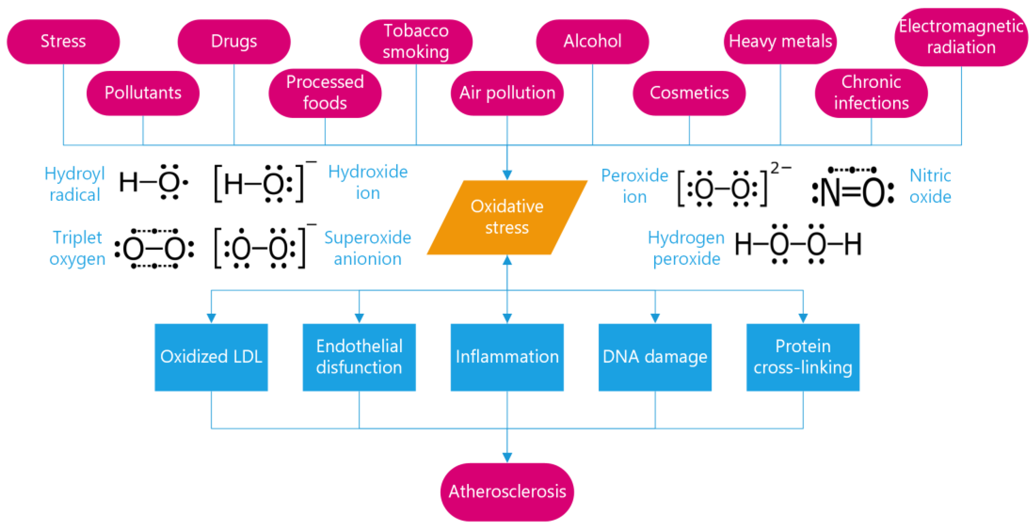 Metabolites 13 00712 g001 Metabolites 13 00712 g001