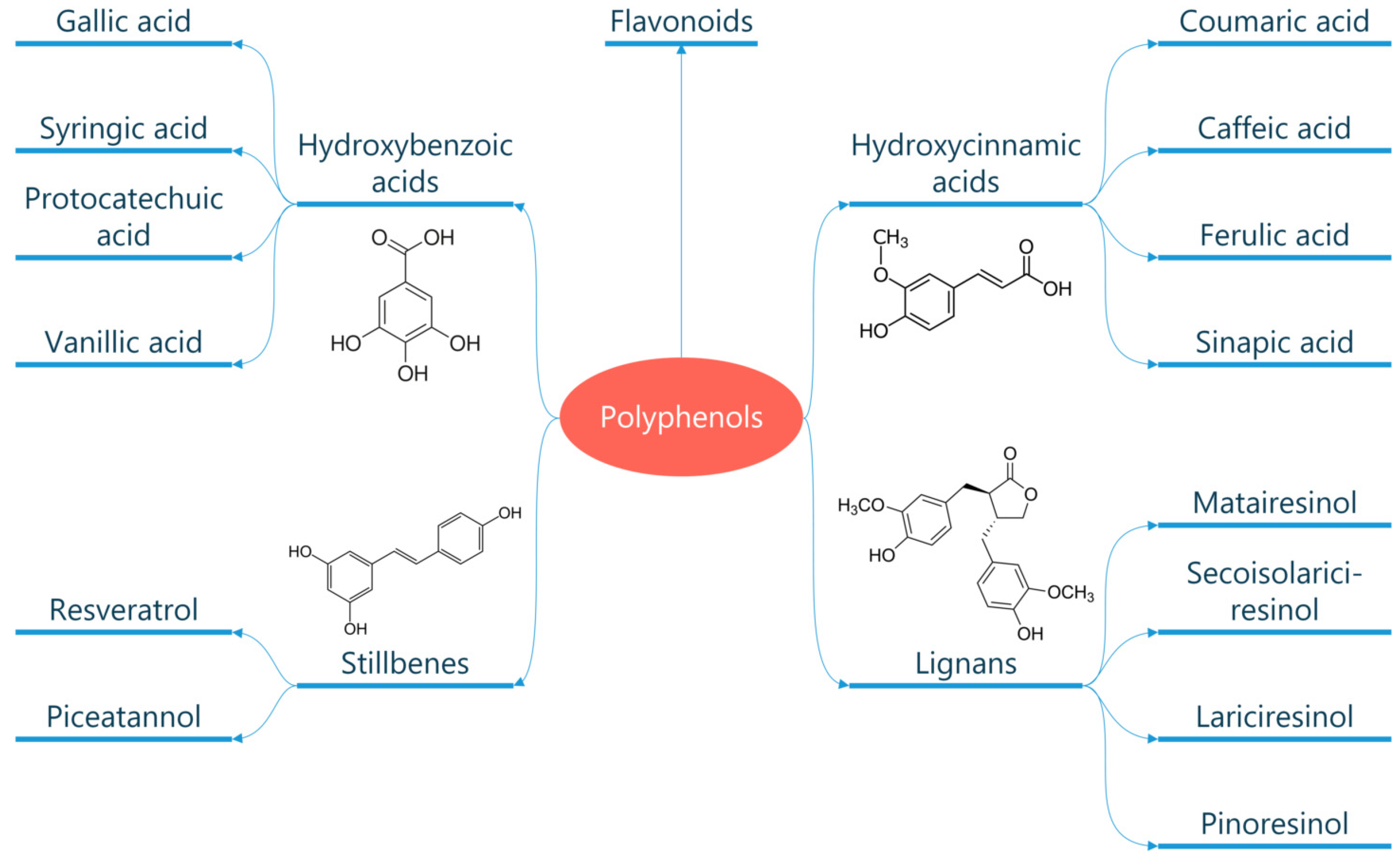 Metabolites 13 00712 g002 Metabolites 13 00712 g002