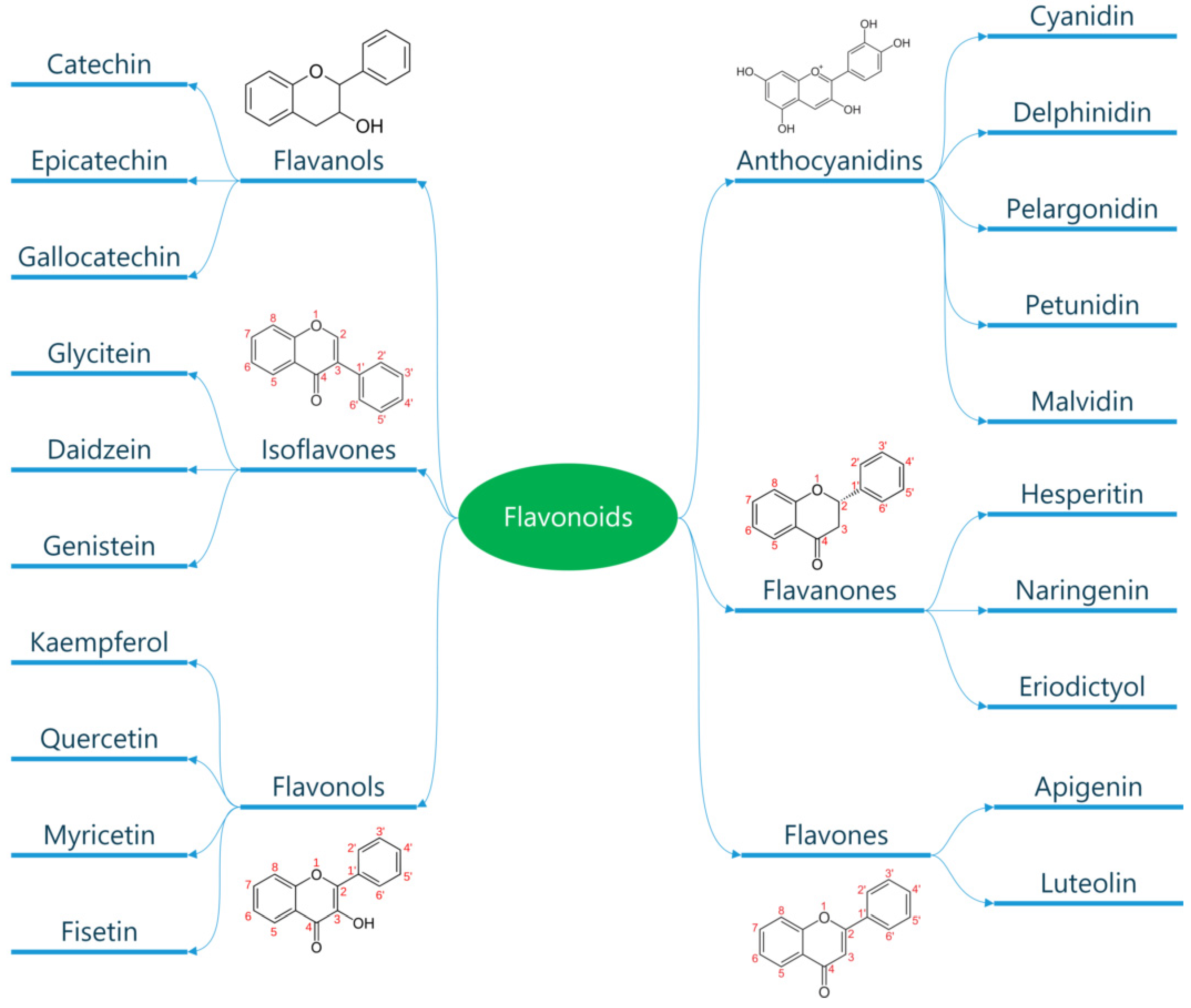 Metabolites 13 00712 g003 Metabolites 13 00712 g003