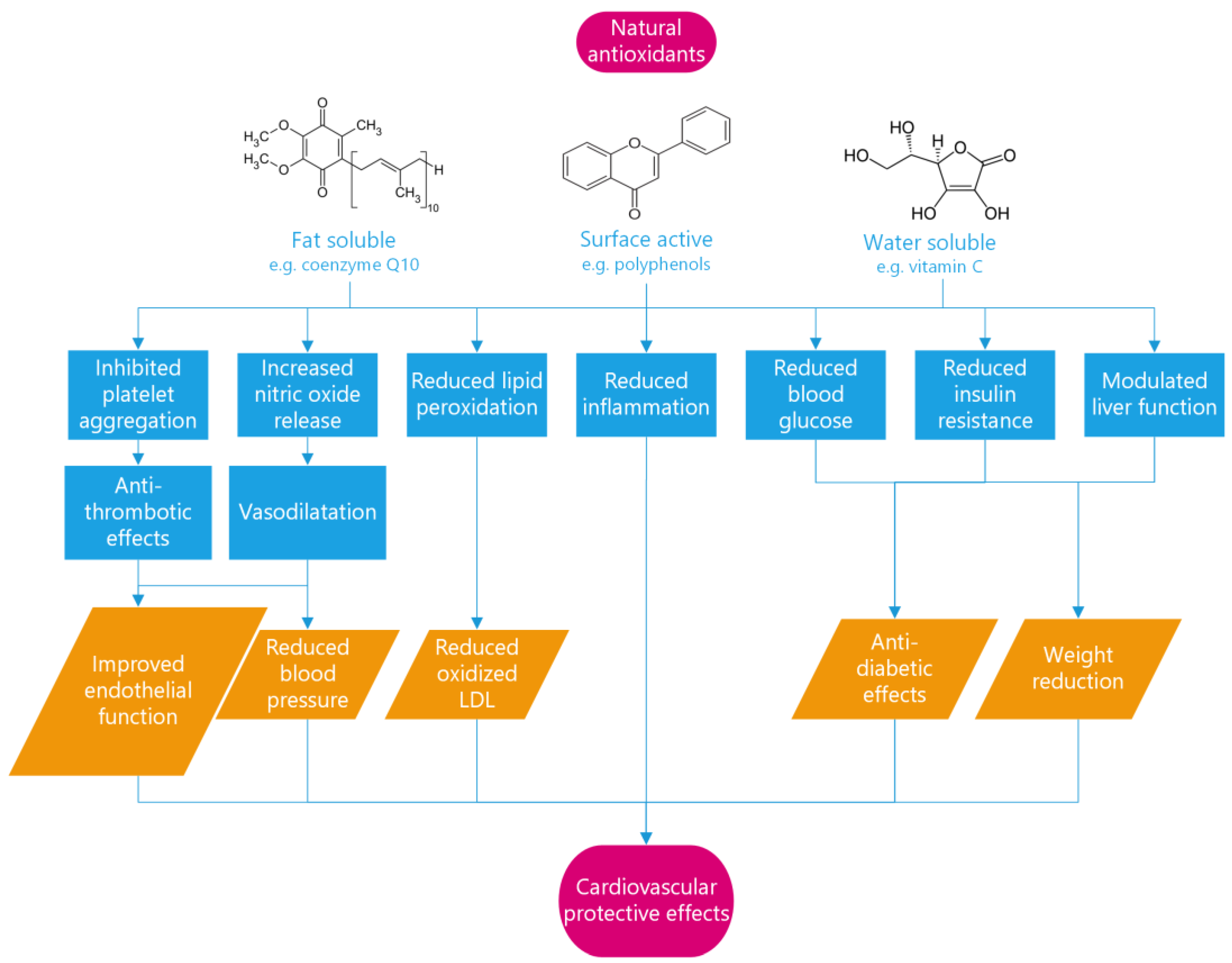 Metabolites 13 00712 g004 Metabolites 13 00712 g004