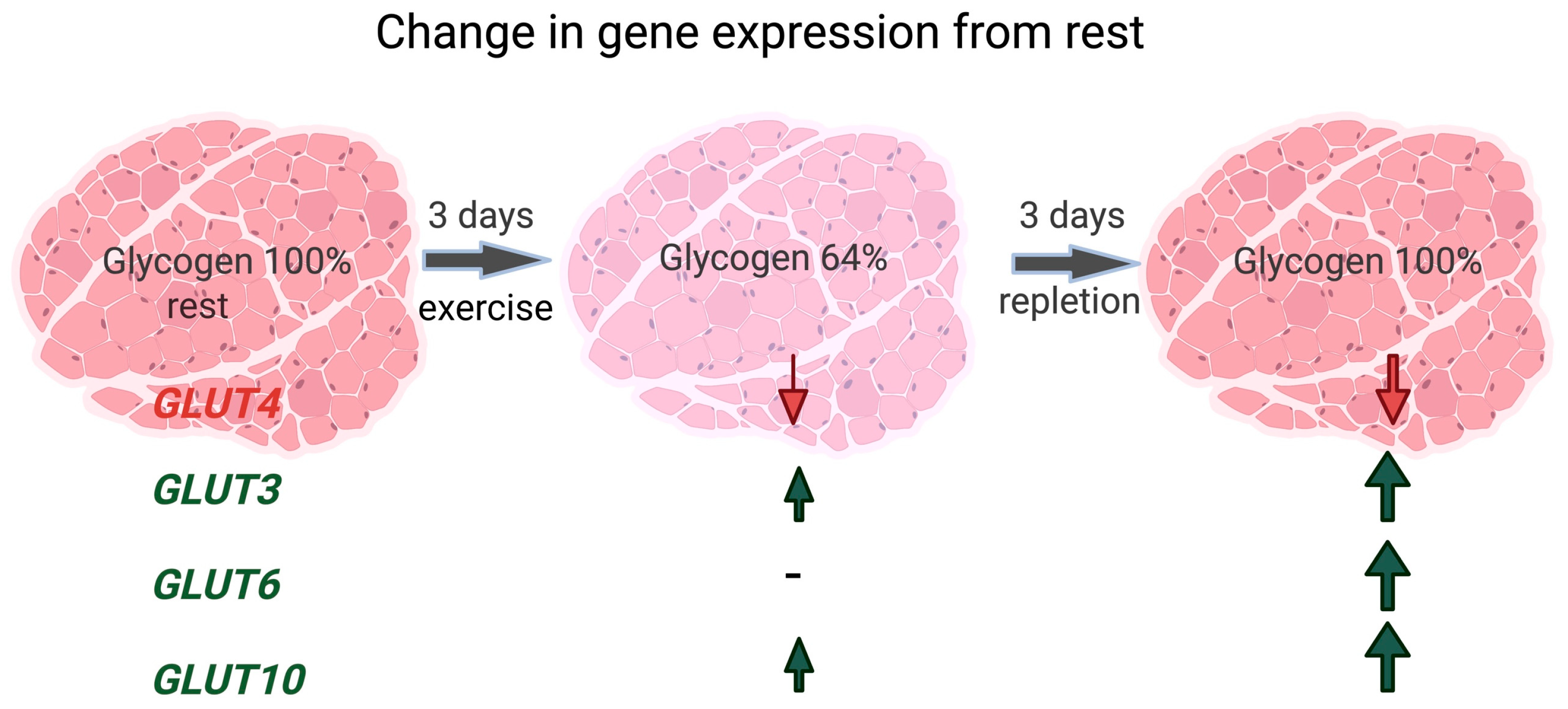Metabolites 13 00718 g006 Metabolites 13 00718 g006