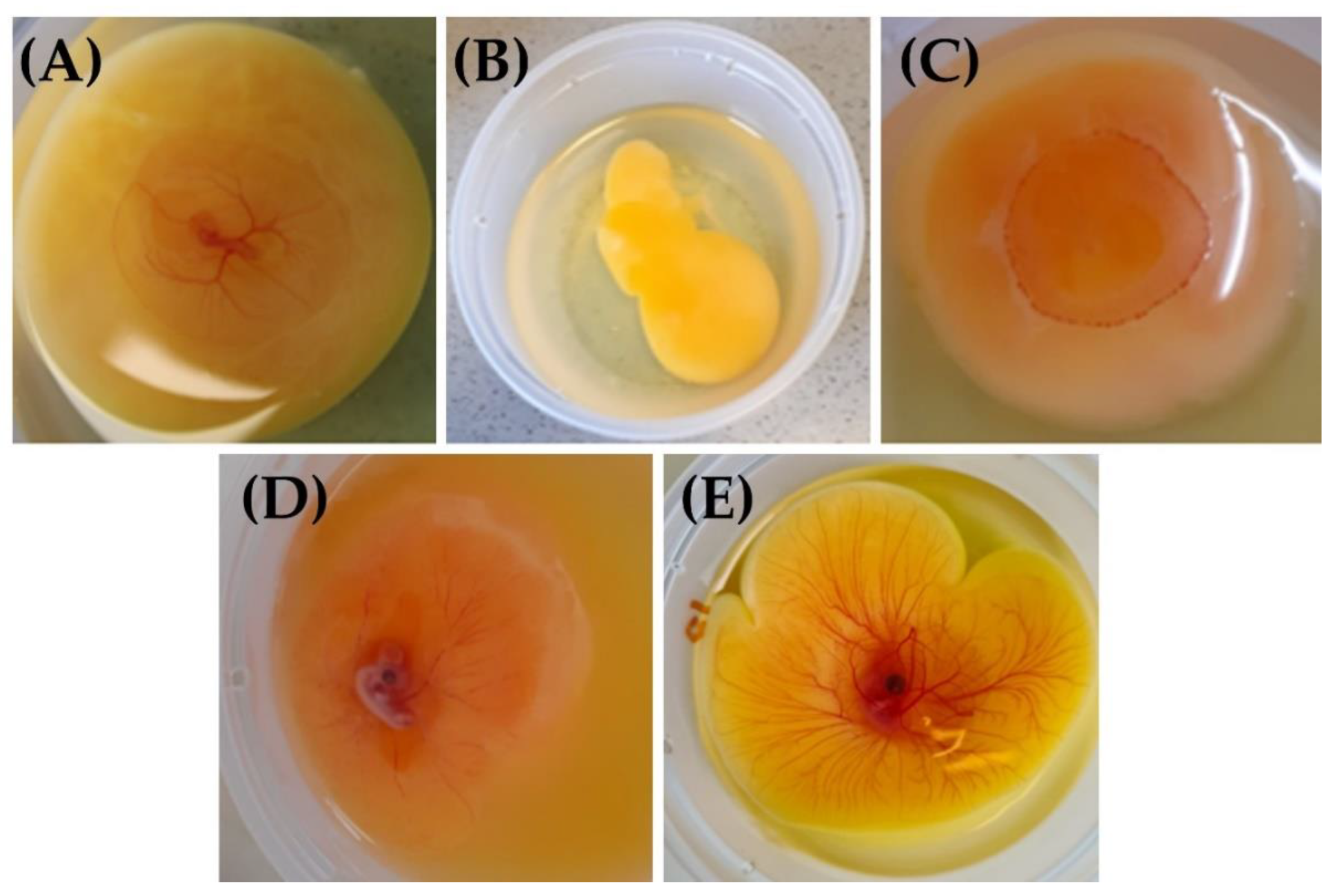 Metabolites 13 00721 g001 Metabolites 13 00721 g001