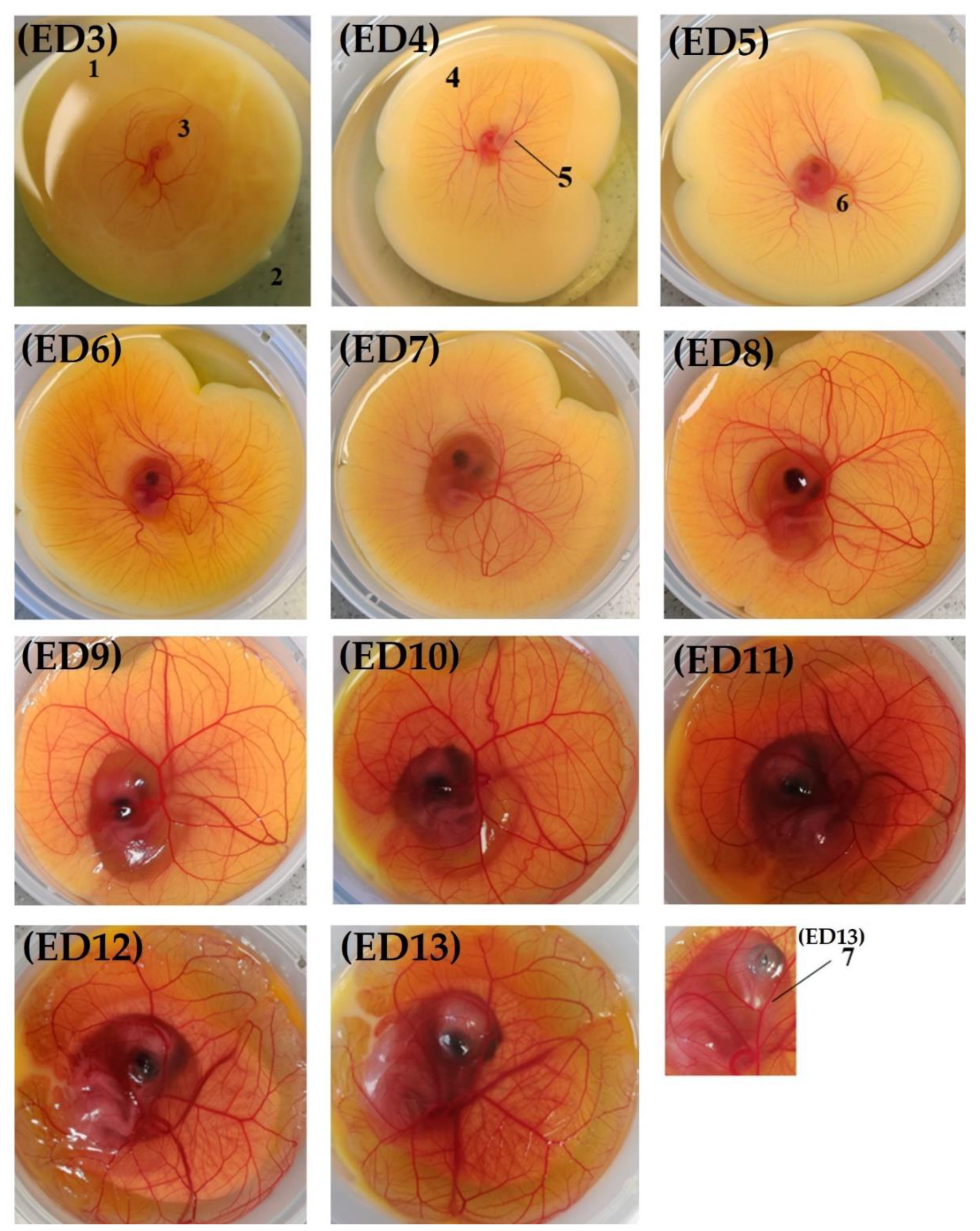 Metabolites 13 00721 g003 Metabolites 13 00721 g003
