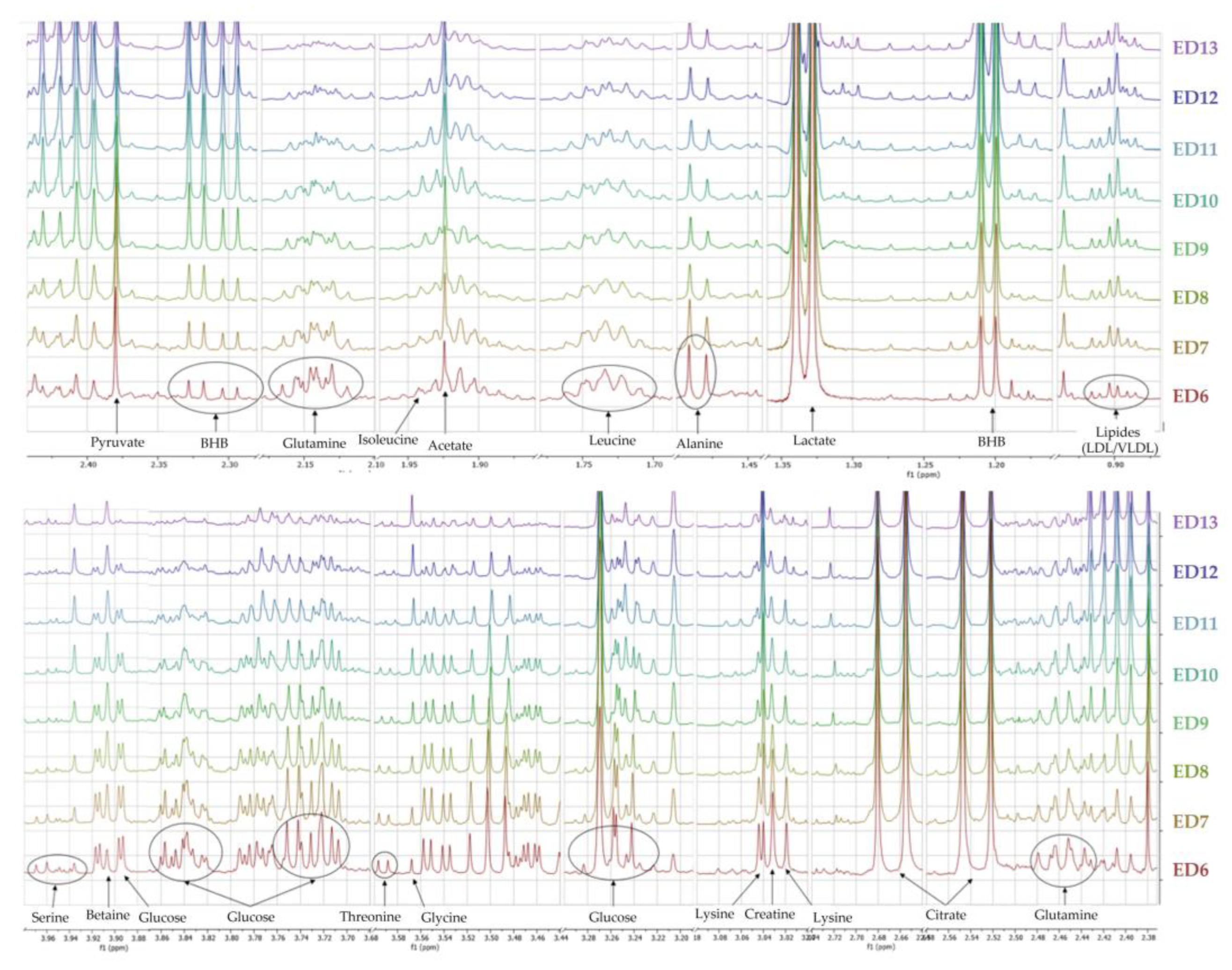 Metabolites 13 00721 g004 Metabolites 13 00721 g004