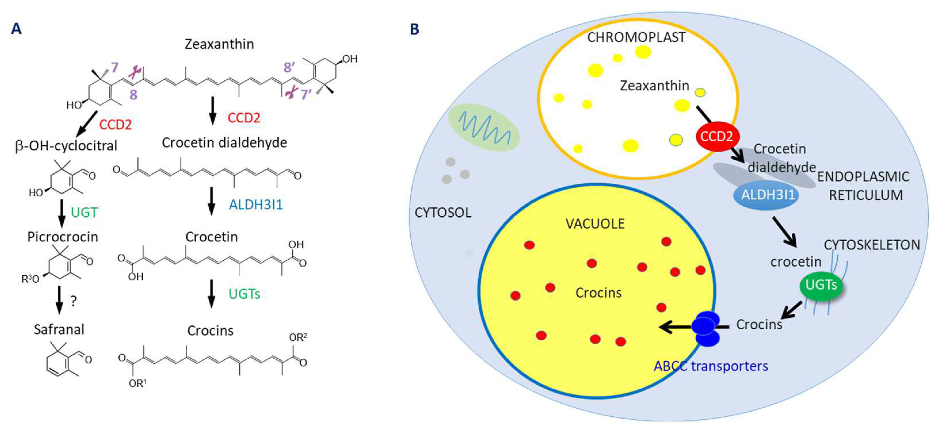 Metabolites 13 00729 g001
