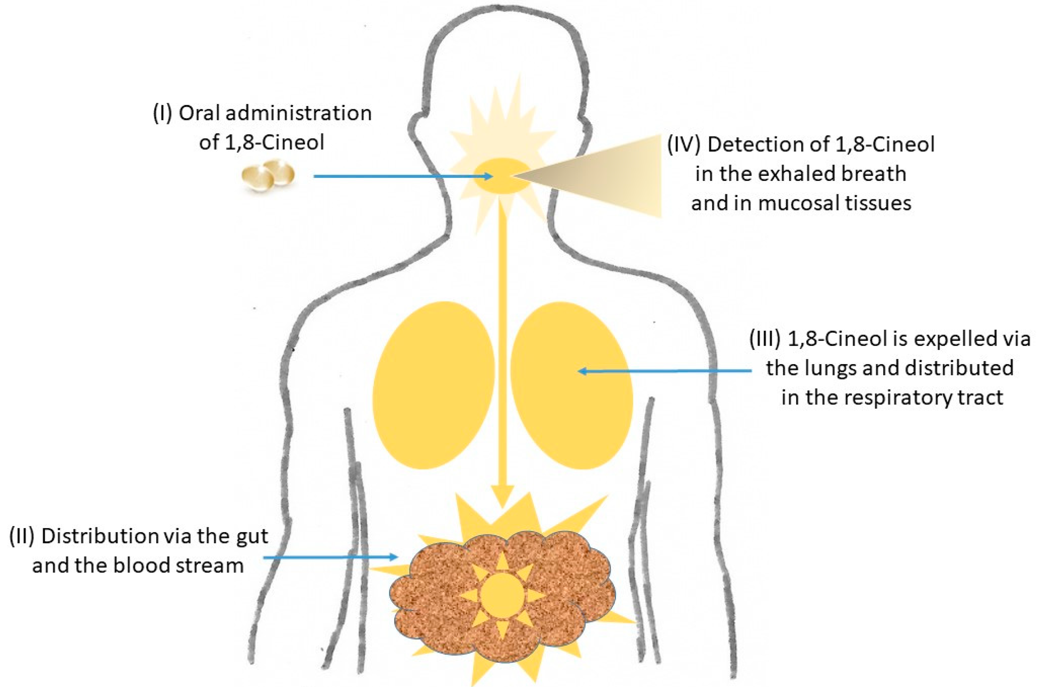 Metabolites 13 00751 g002