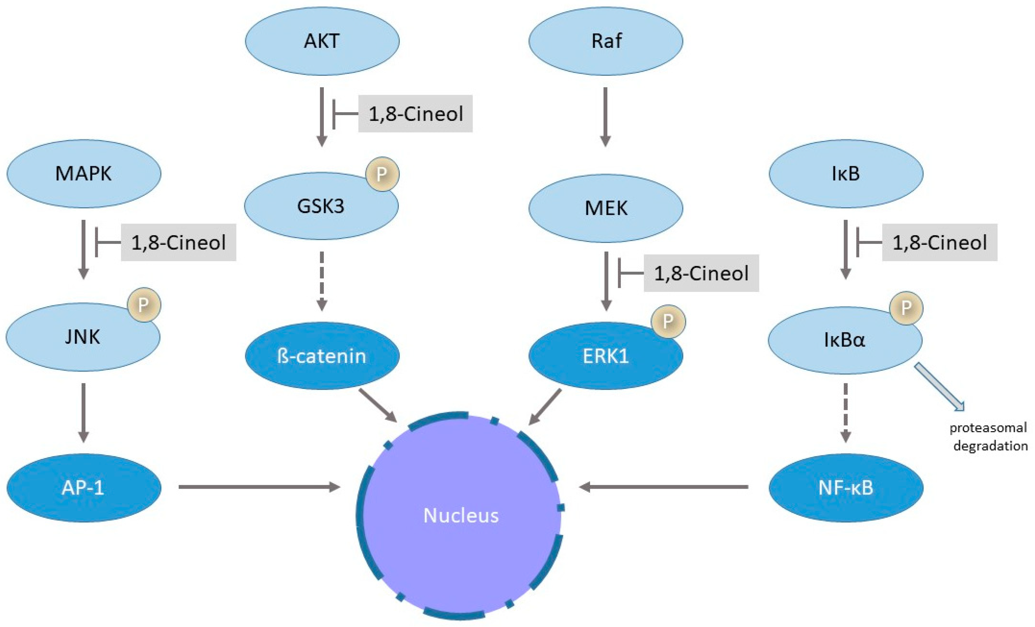 Metabolites 13 00751 g003