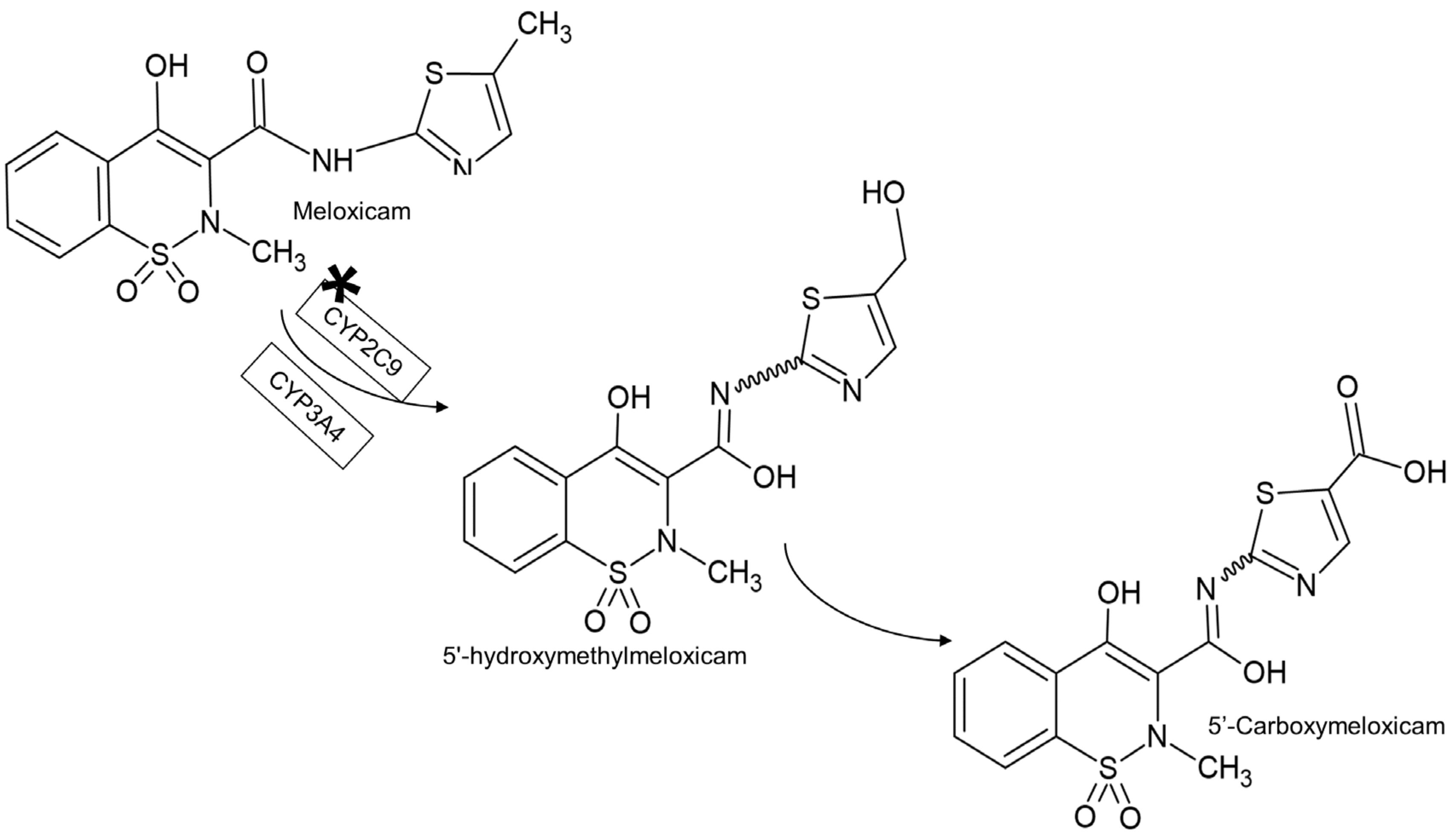Meloxicam And Nyquil 31 - chi2dhm