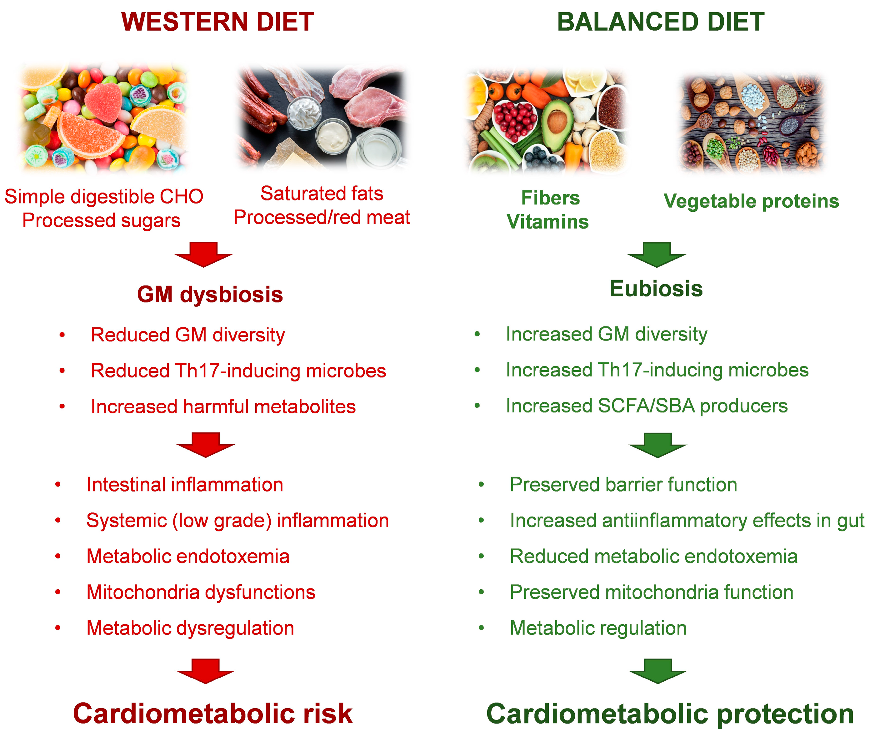Metabolites 13 00760 g001 Metabolites 13 00760 g001