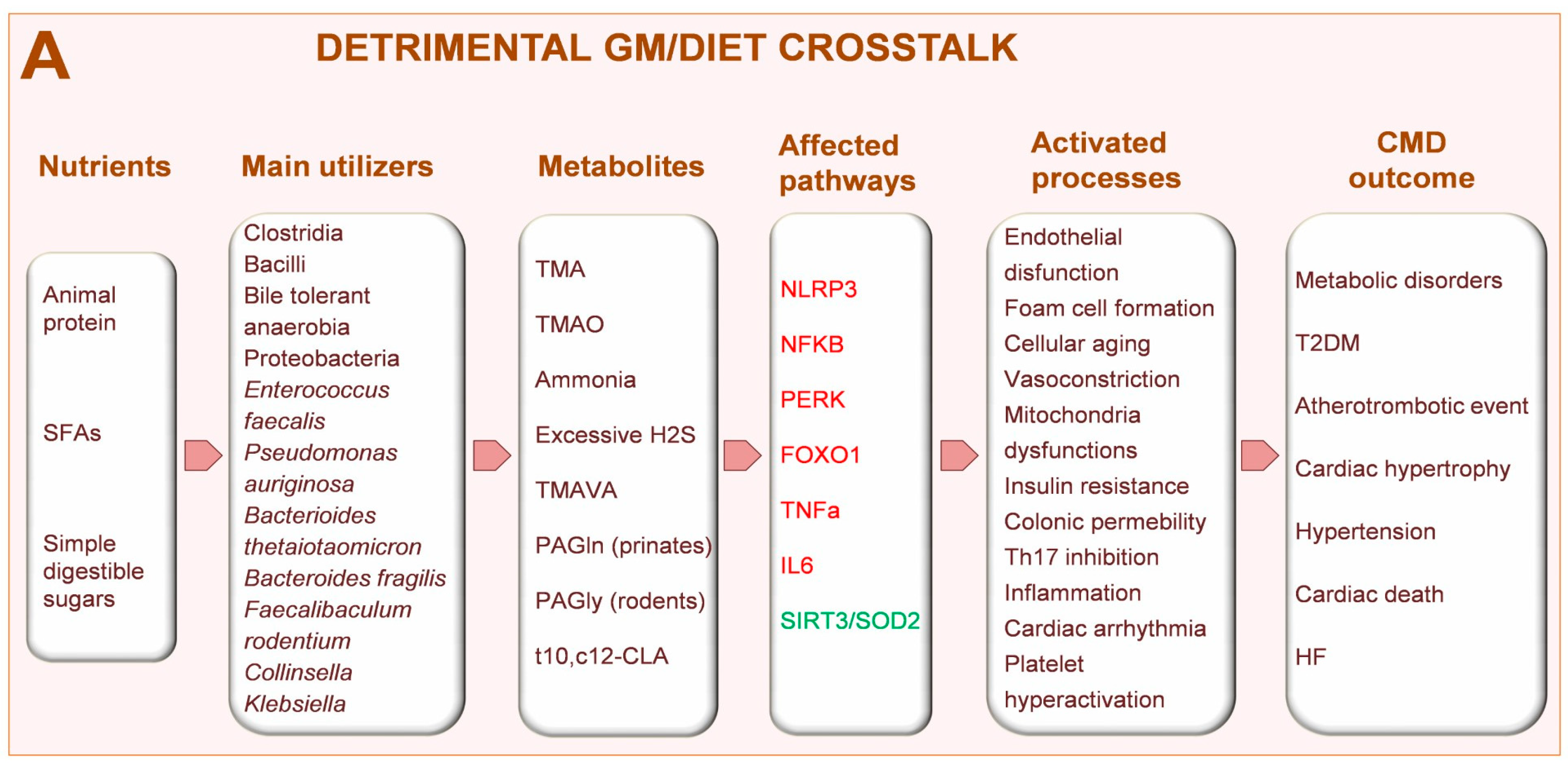 Metabolites 13 00760 g002a Metabolites 13 00760 g002a