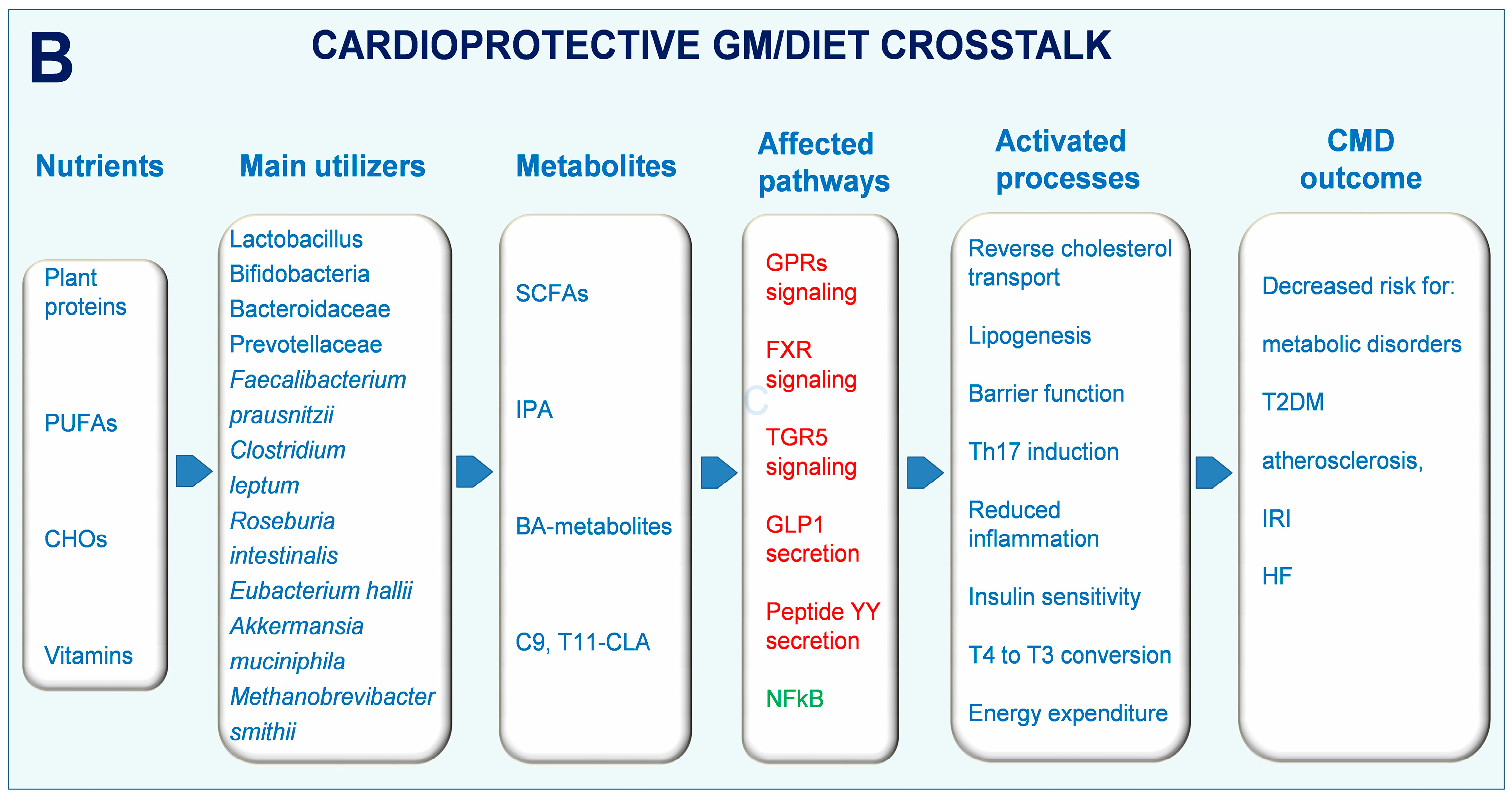 Metabolites 13 00760 g002b Metabolites 13 00760 g002b