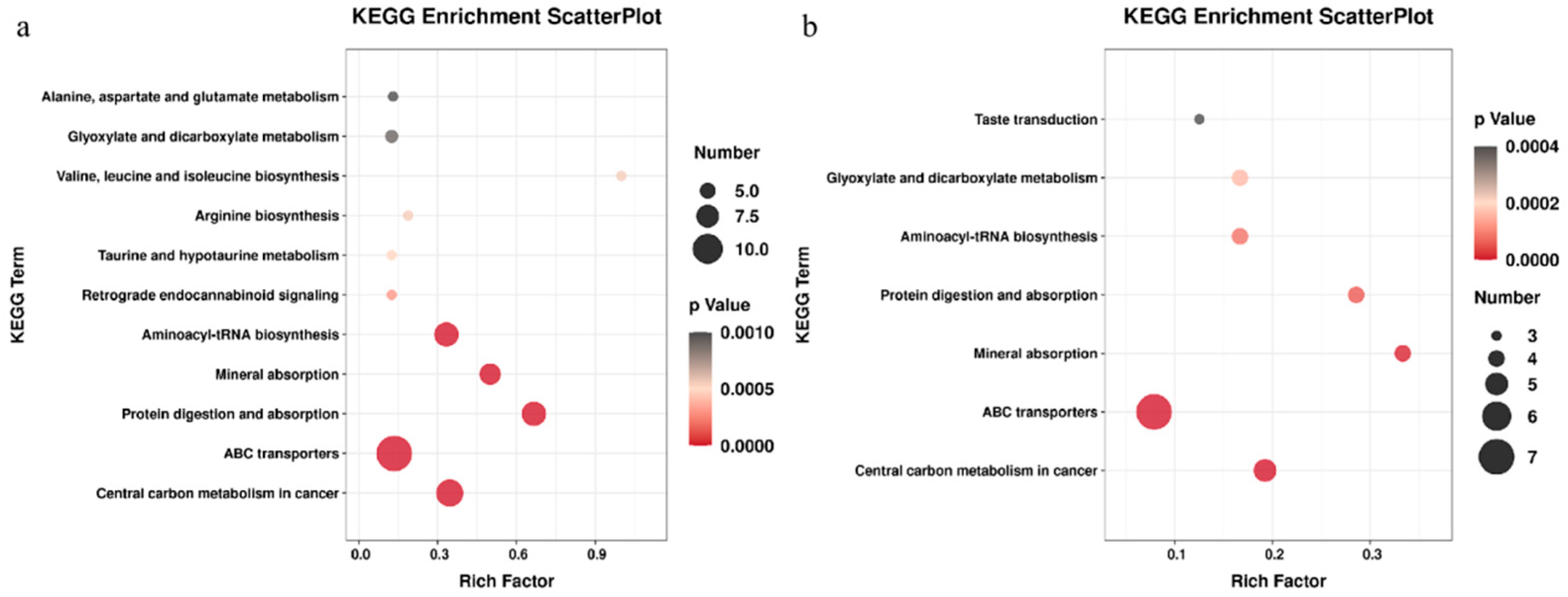 Metabolites 13 00761 g005