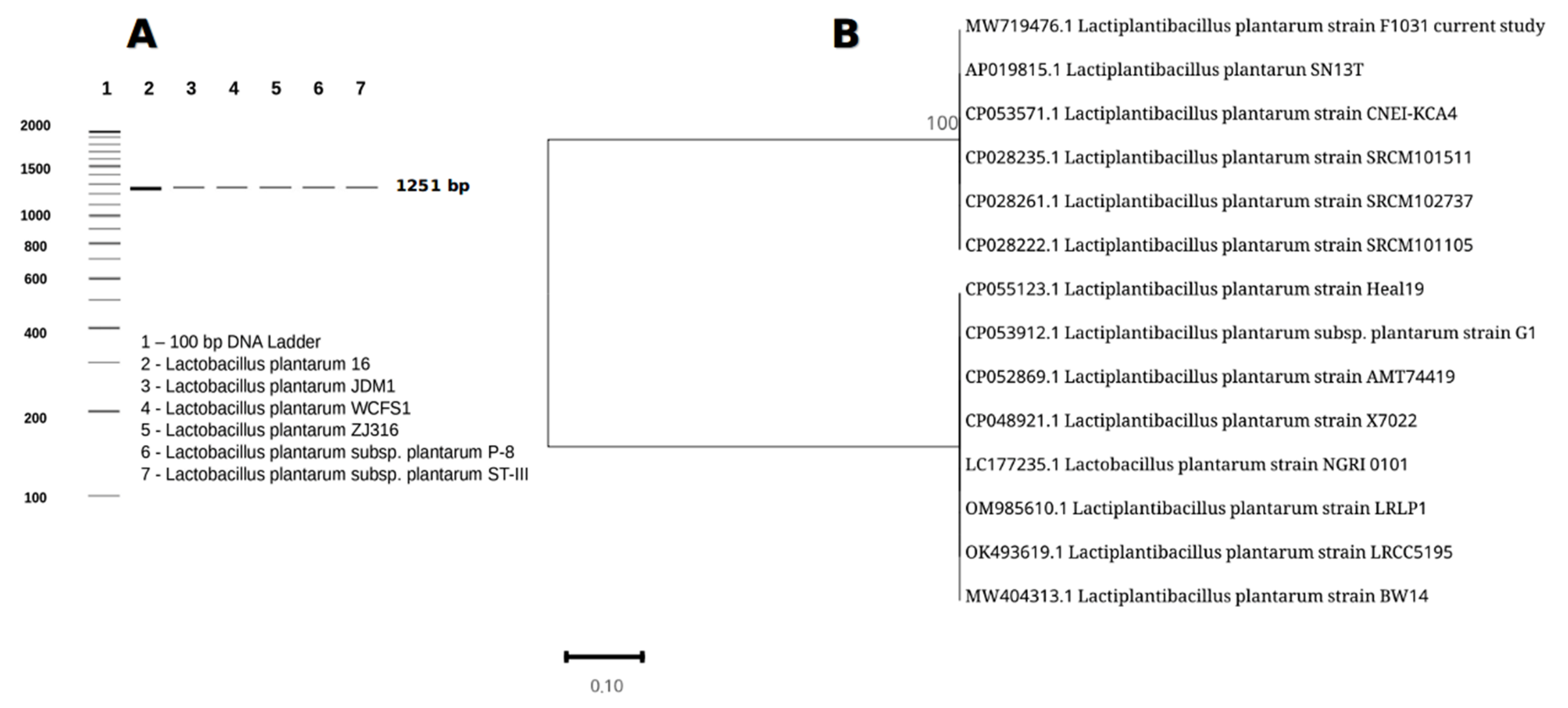 Metabolites 13 00764 g001 Metabolites 13 00764 g001