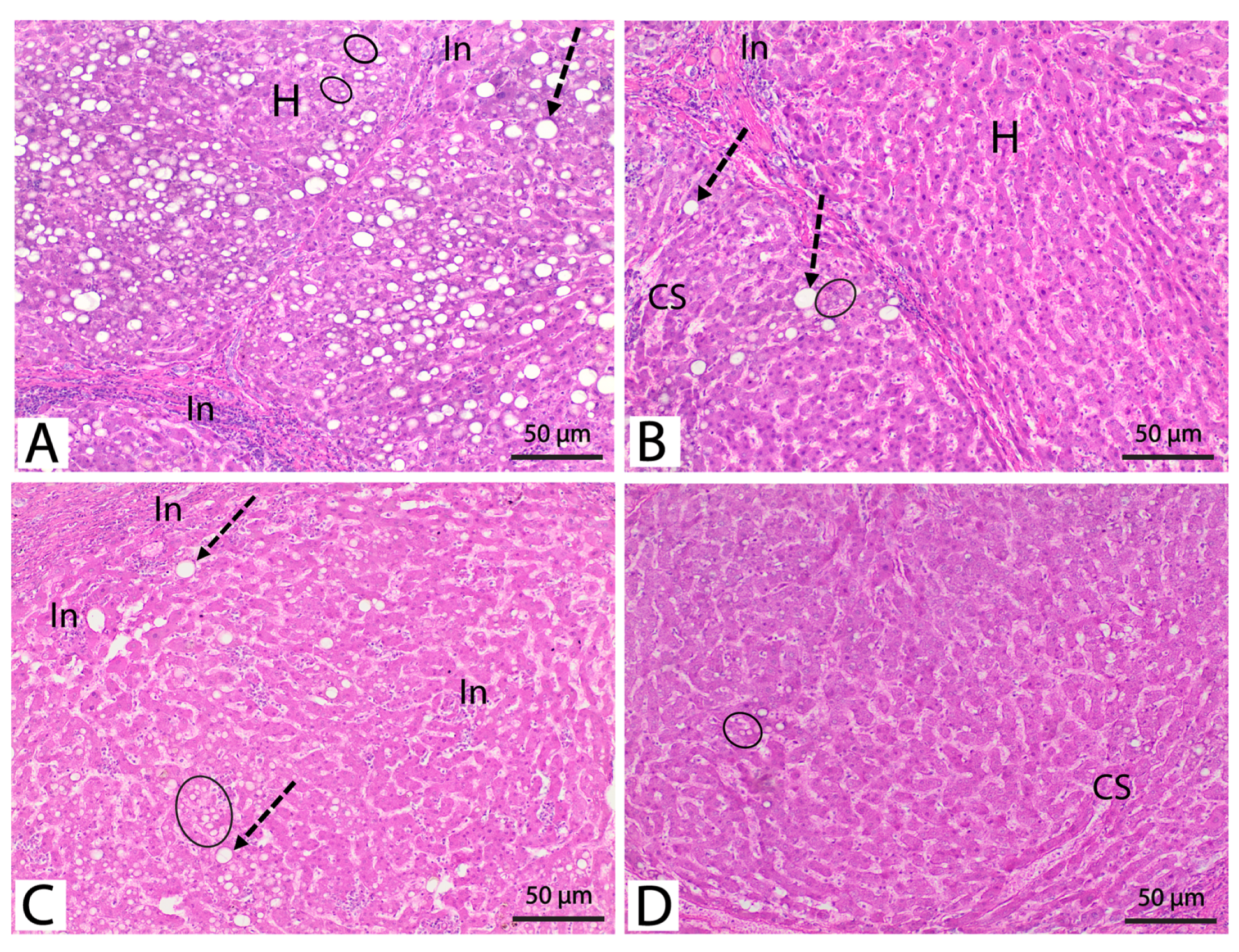 Metabolites 13 00764 g004 Metabolites 13 00764 g004