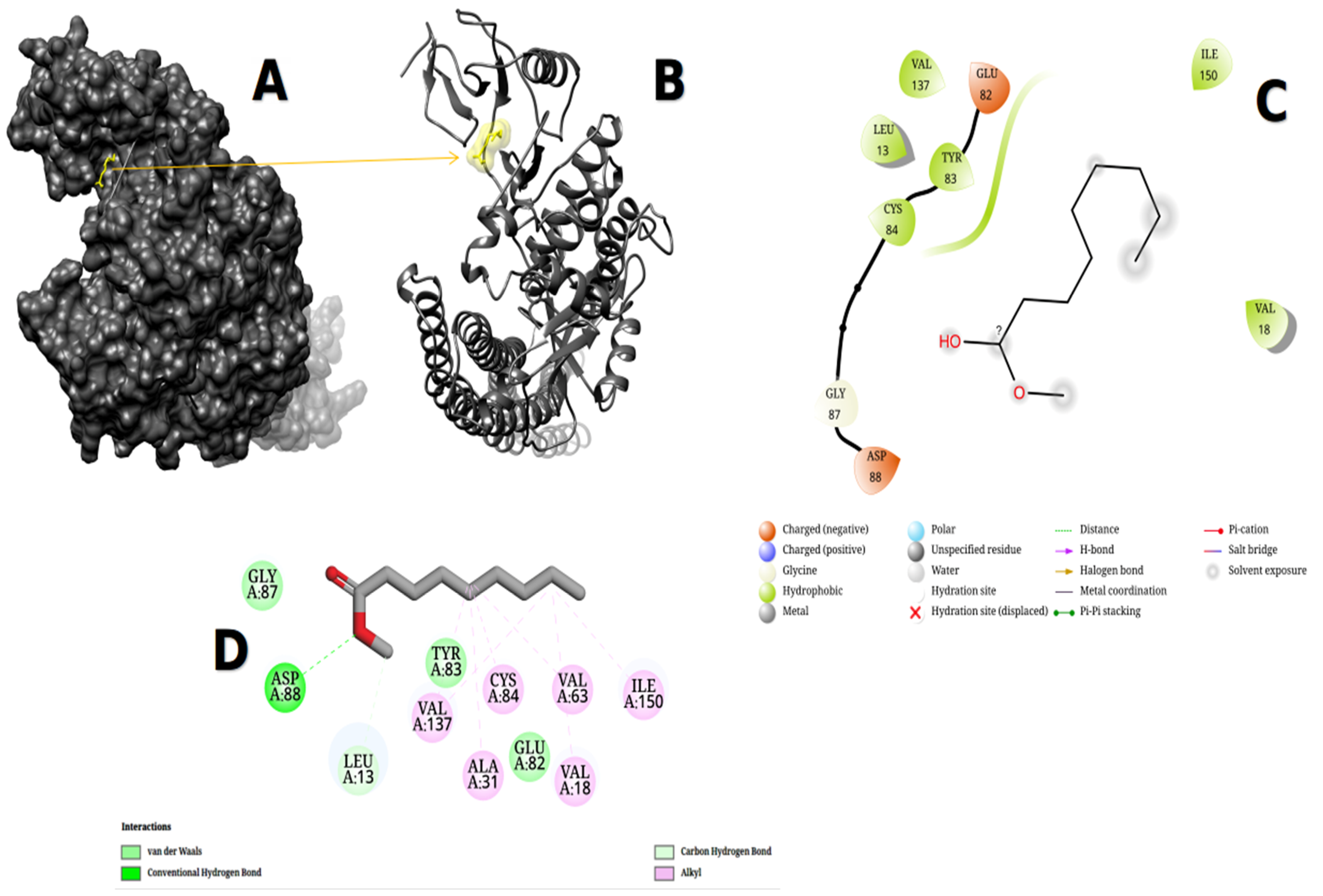 Metabolites 13 00764 g011 Metabolites 13 00764 g011
