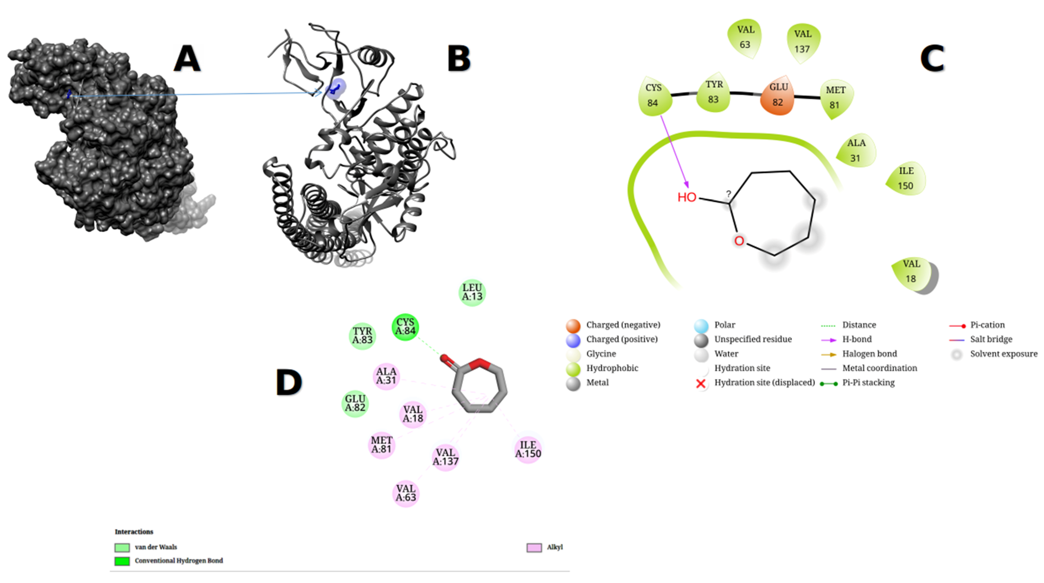 Metabolites 13 00764 g012 Metabolites 13 00764 g012