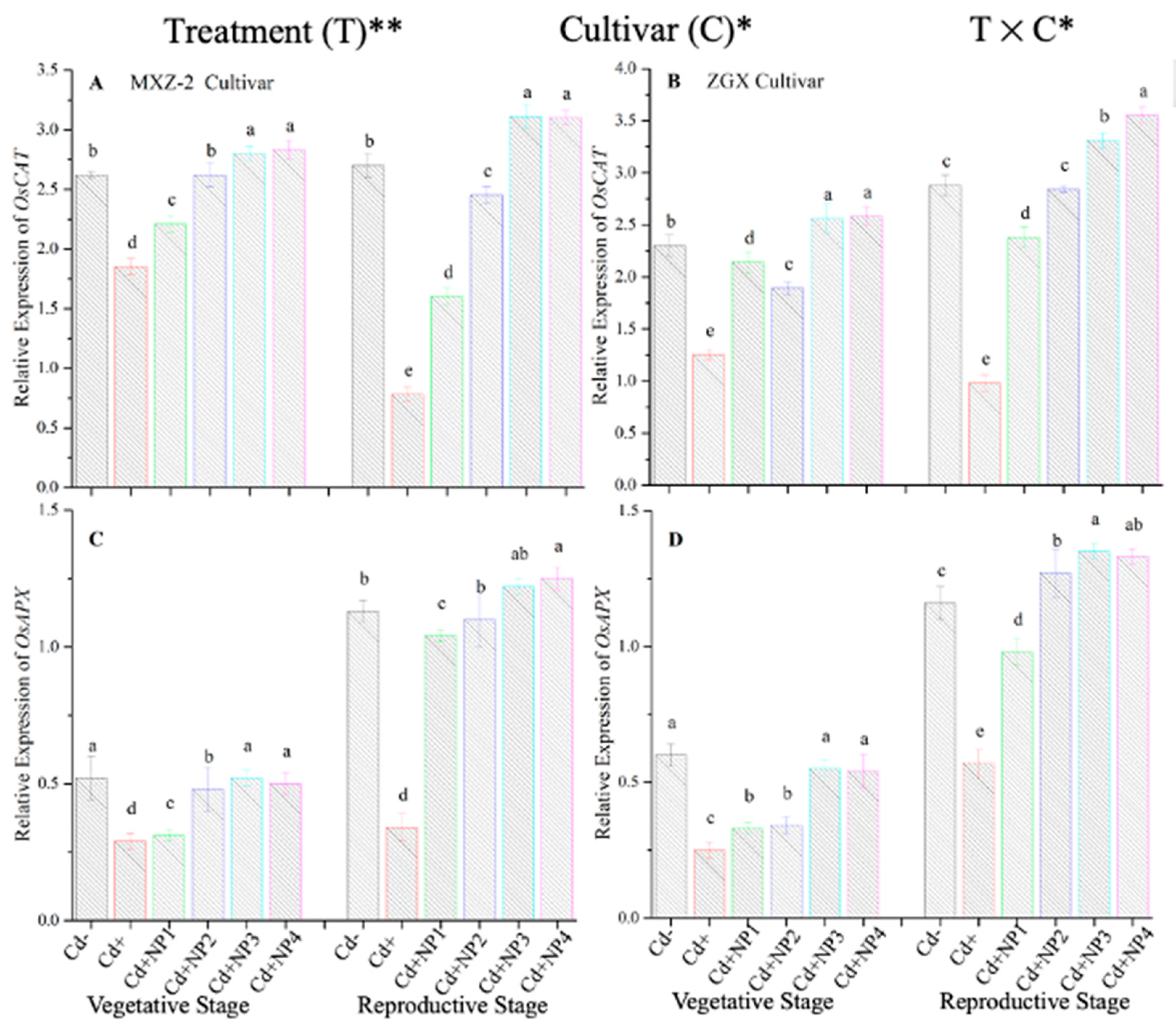 Metabolites 13 00765 g008 Metabolites 13 00765 g008