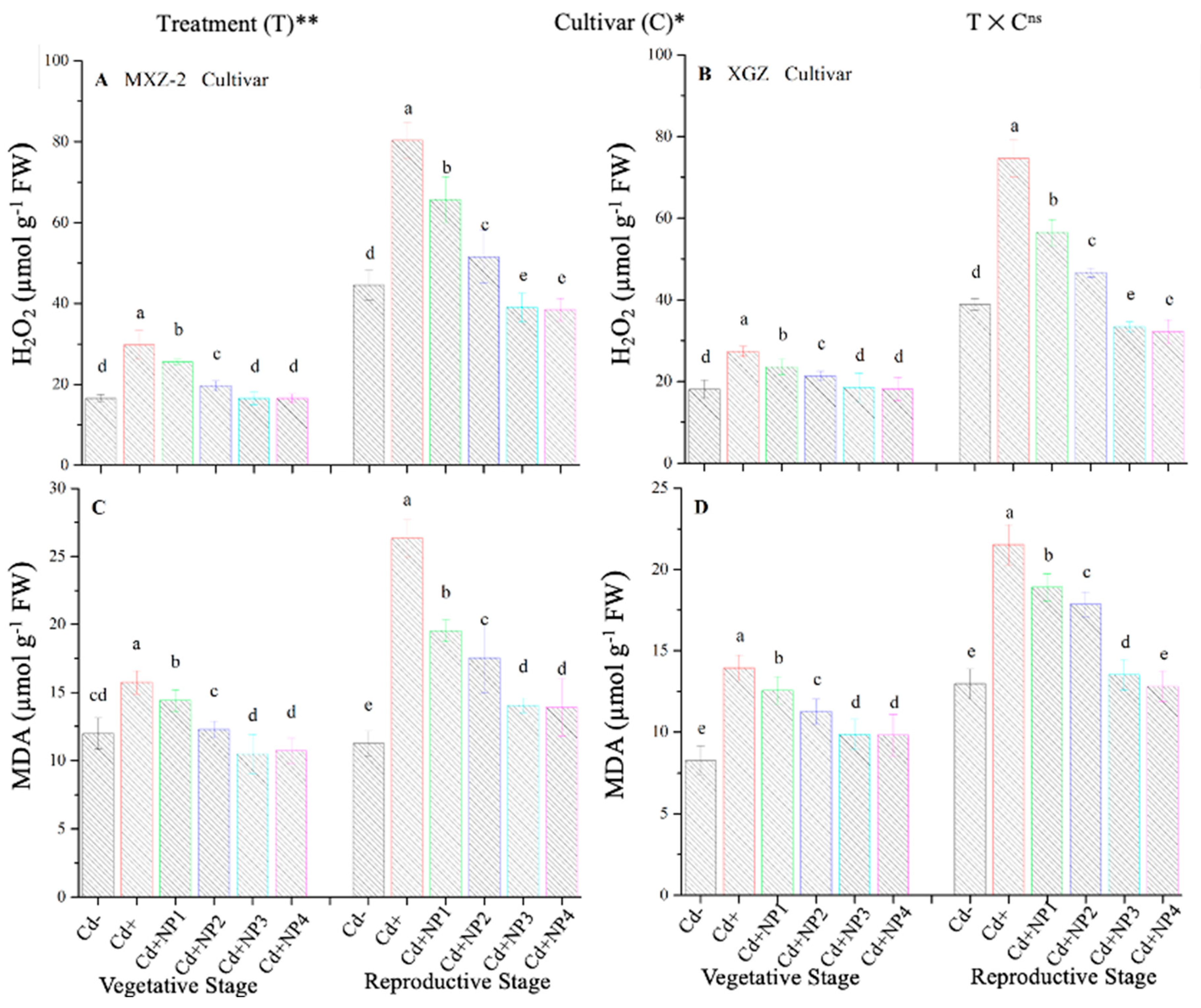 Metabolites 13 00765 g010 Metabolites 13 00765 g010