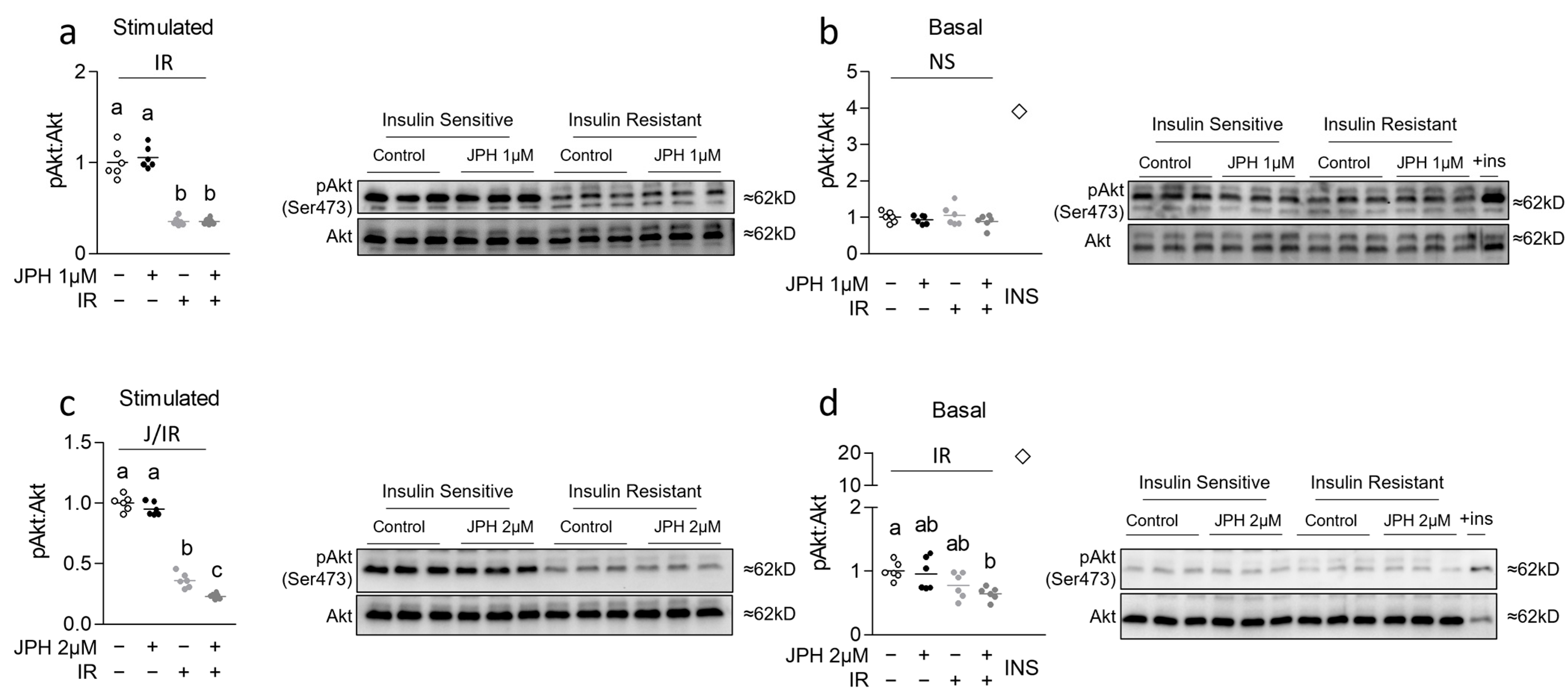 Metabolites 13 00766 g001
