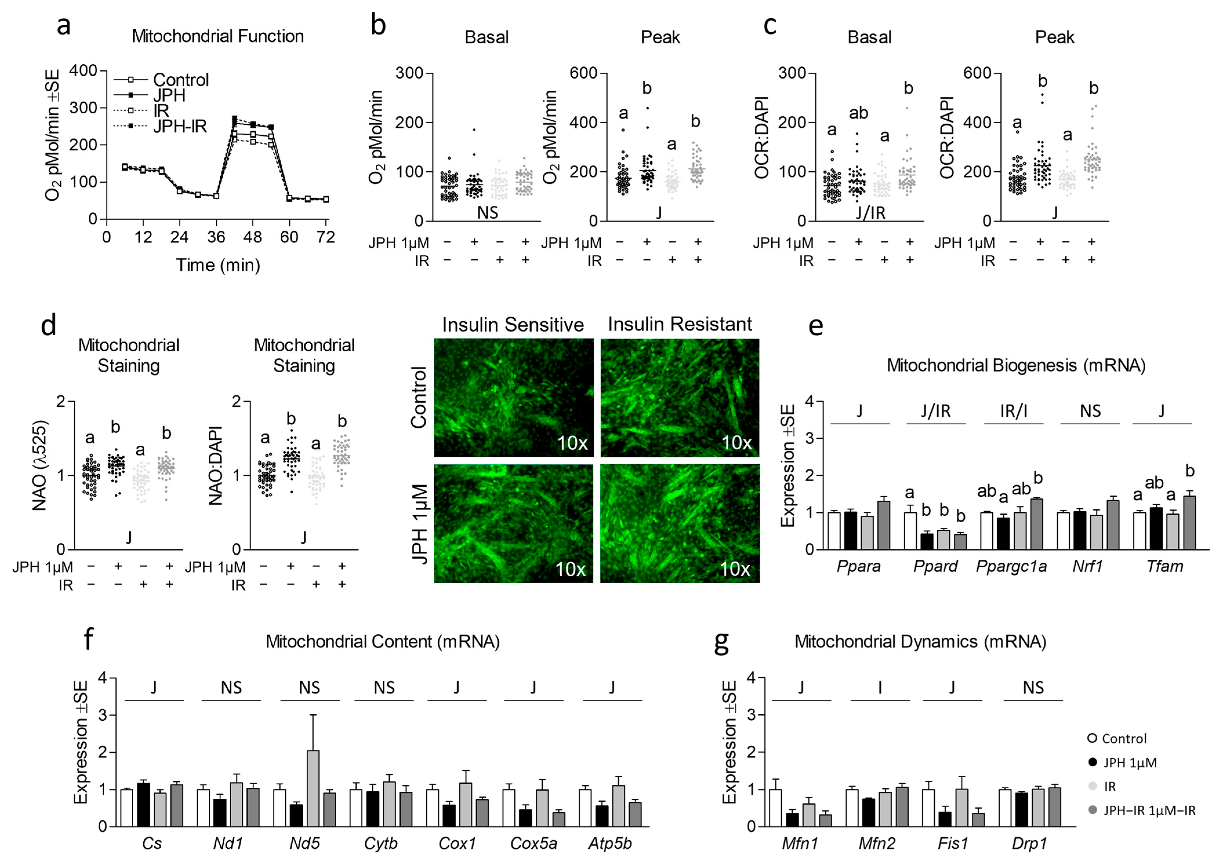 Metabolites 13 00766 g002