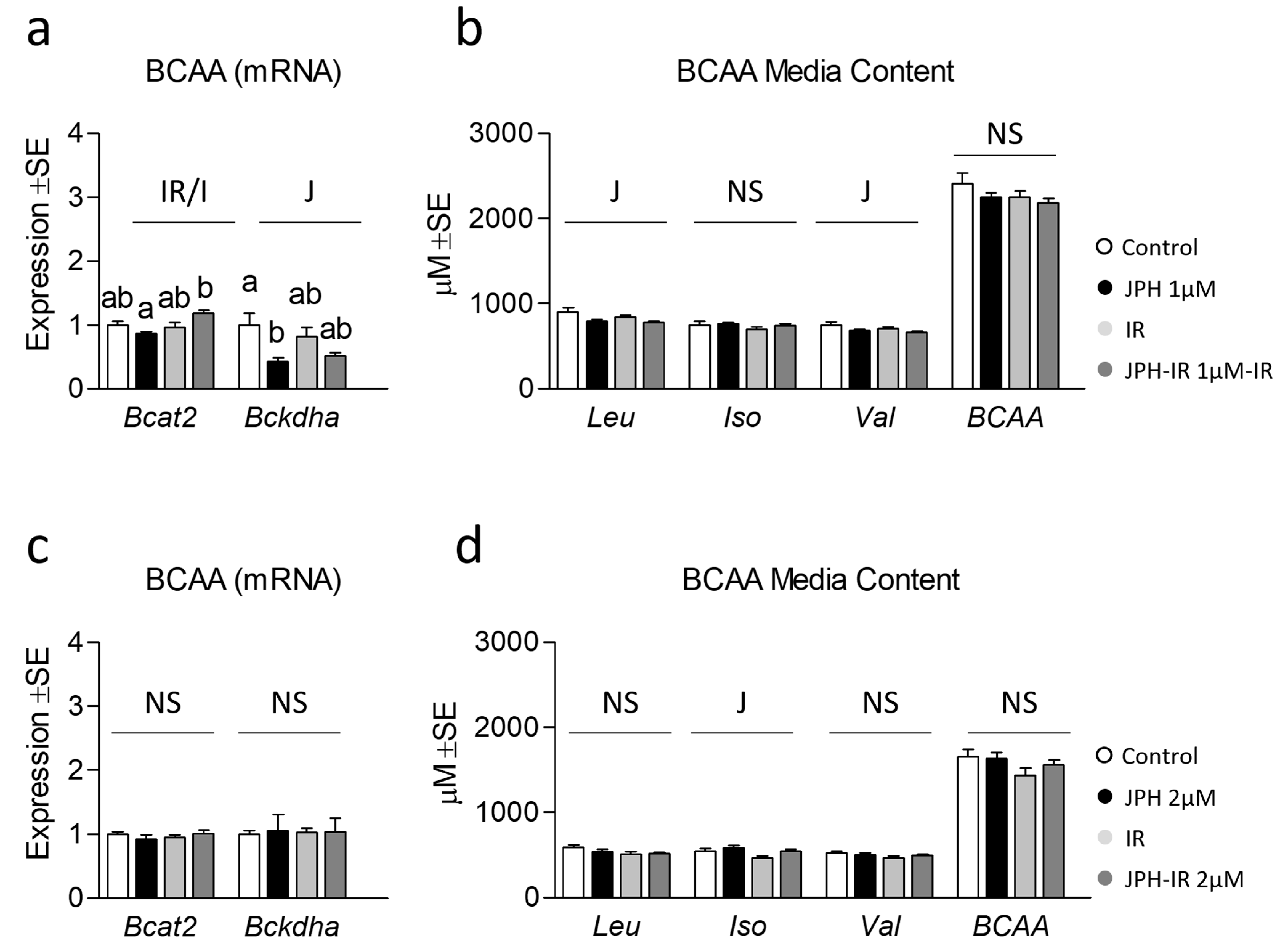 Metabolites 13 00766 g004