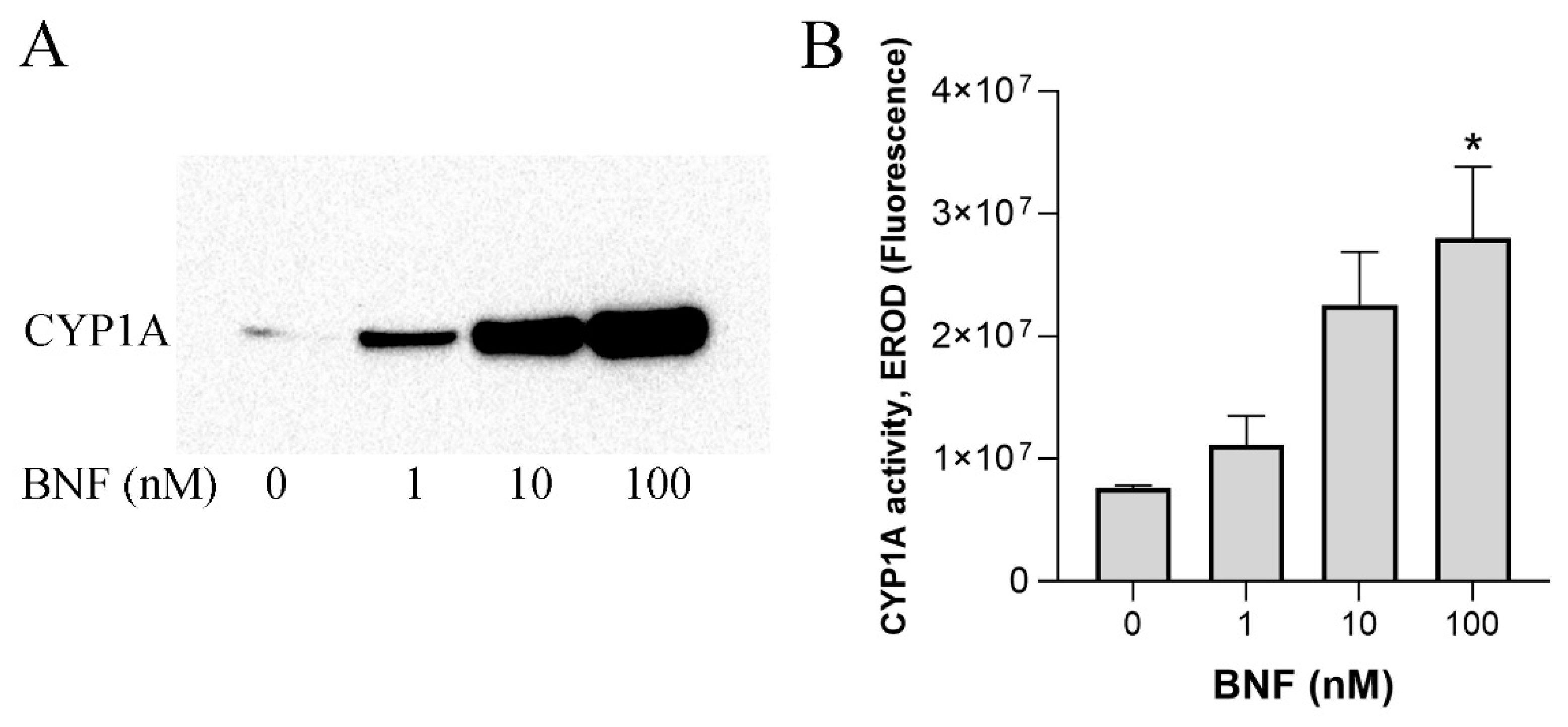 Metabolites 13 00771 g001 Metabolites 13 00771 g001