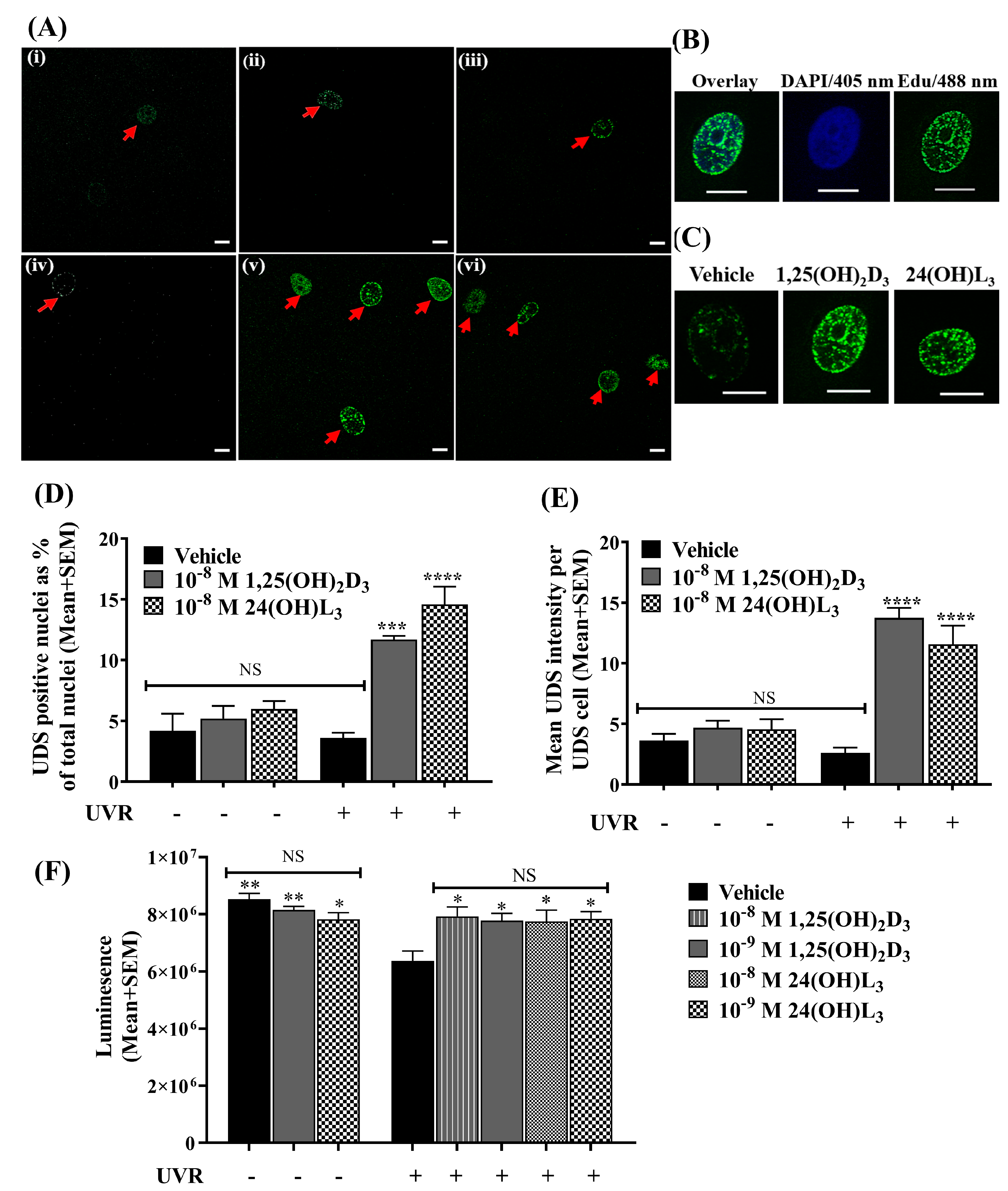 Metabolites 13 00775 g003