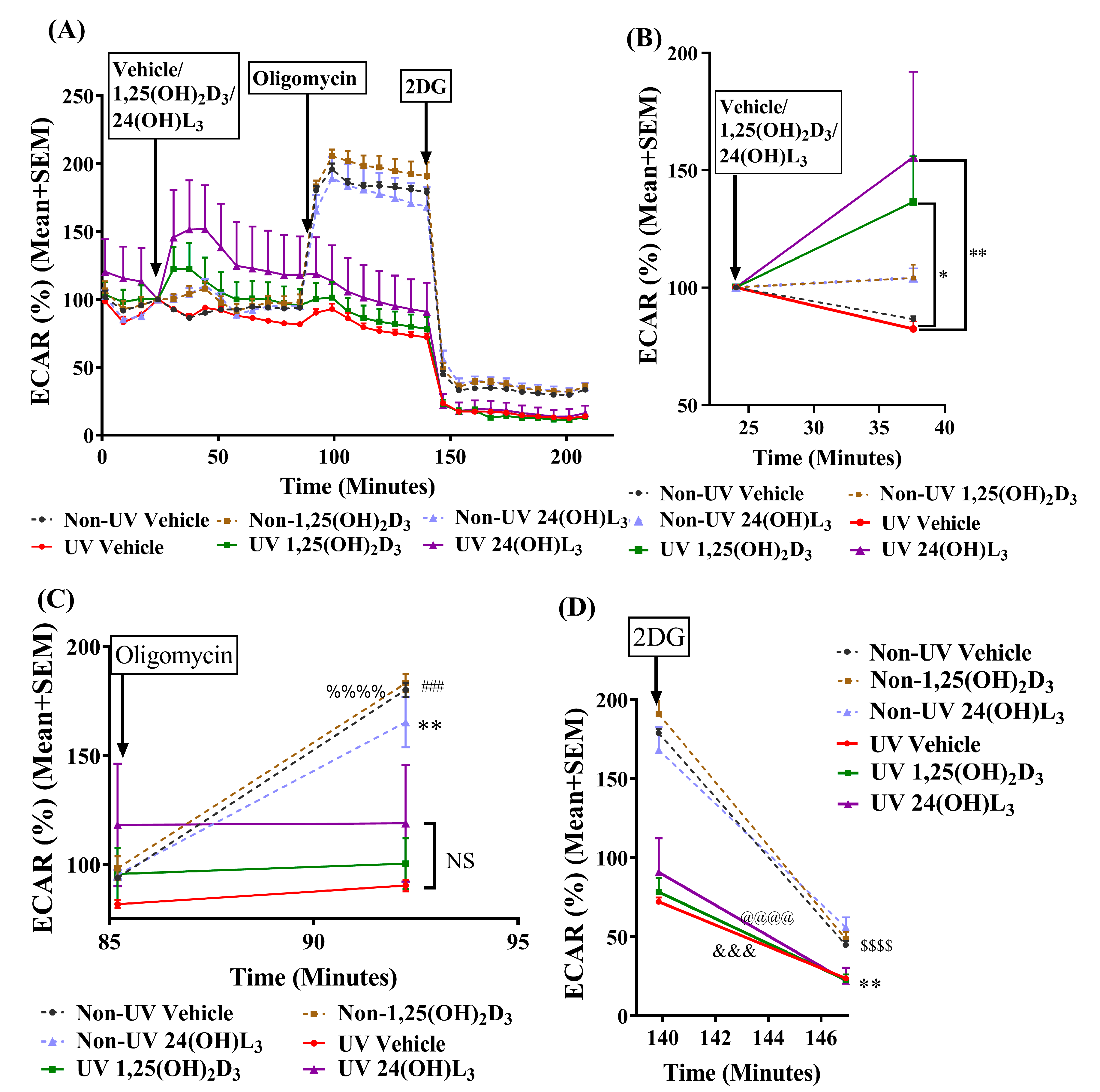 Metabolites 13 00775 g004