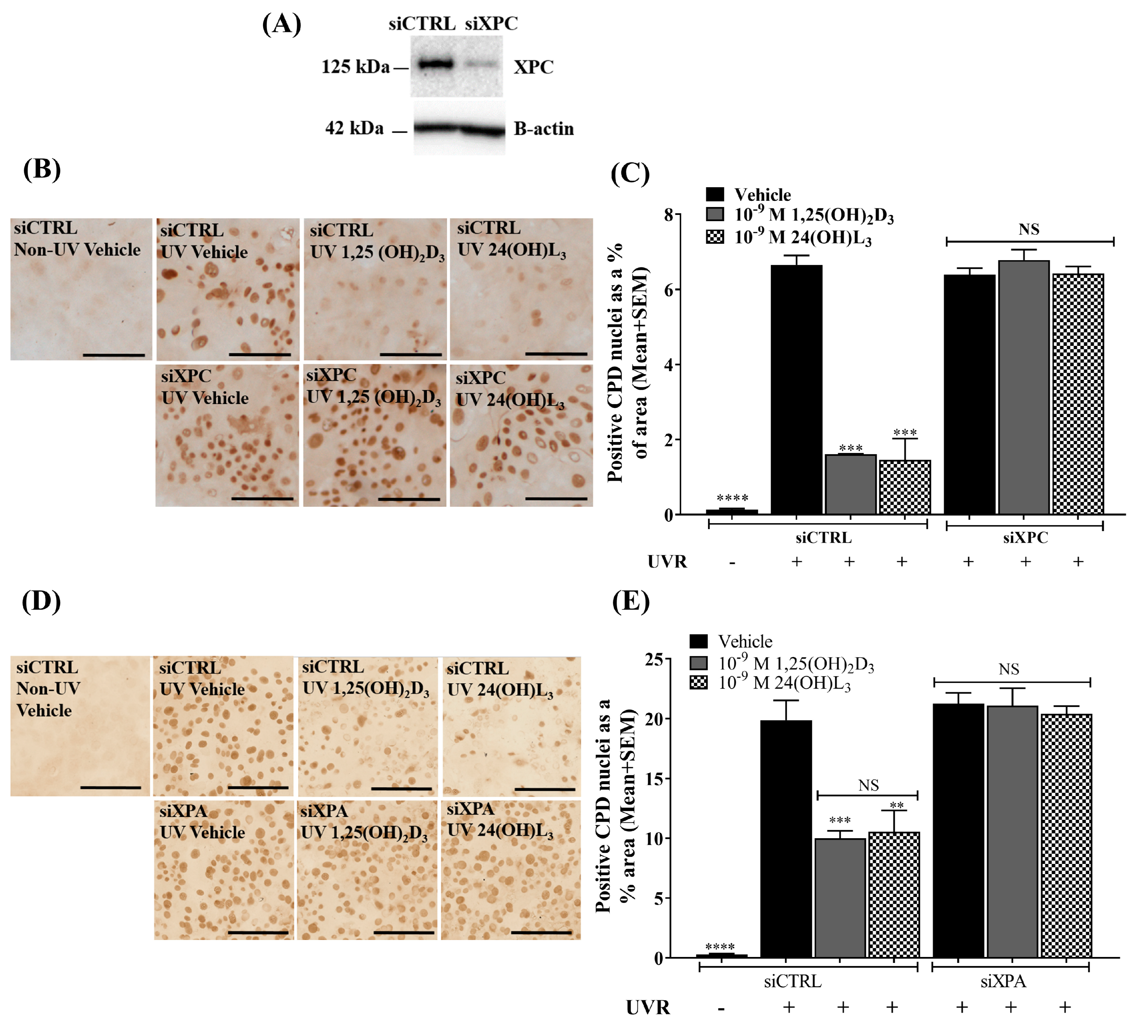 Metabolites 13 00775 g008