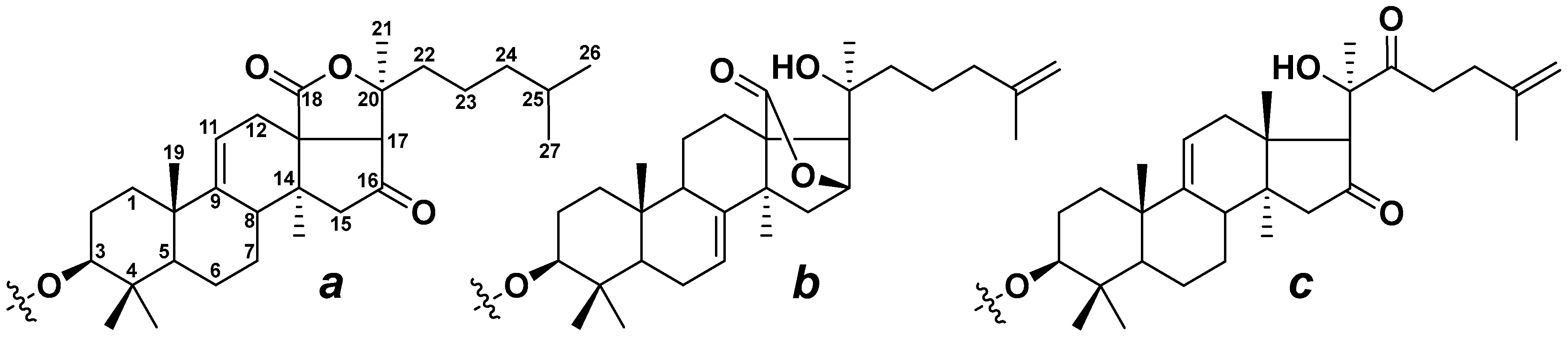 Metabolites 13 00783 g001