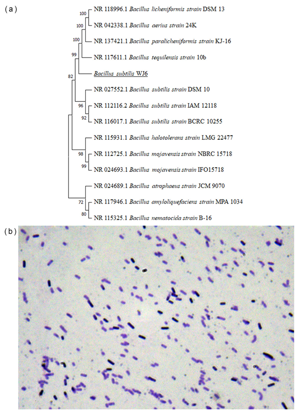 Metabolites 13 00785 g002 Metabolites 13 00785 g002
