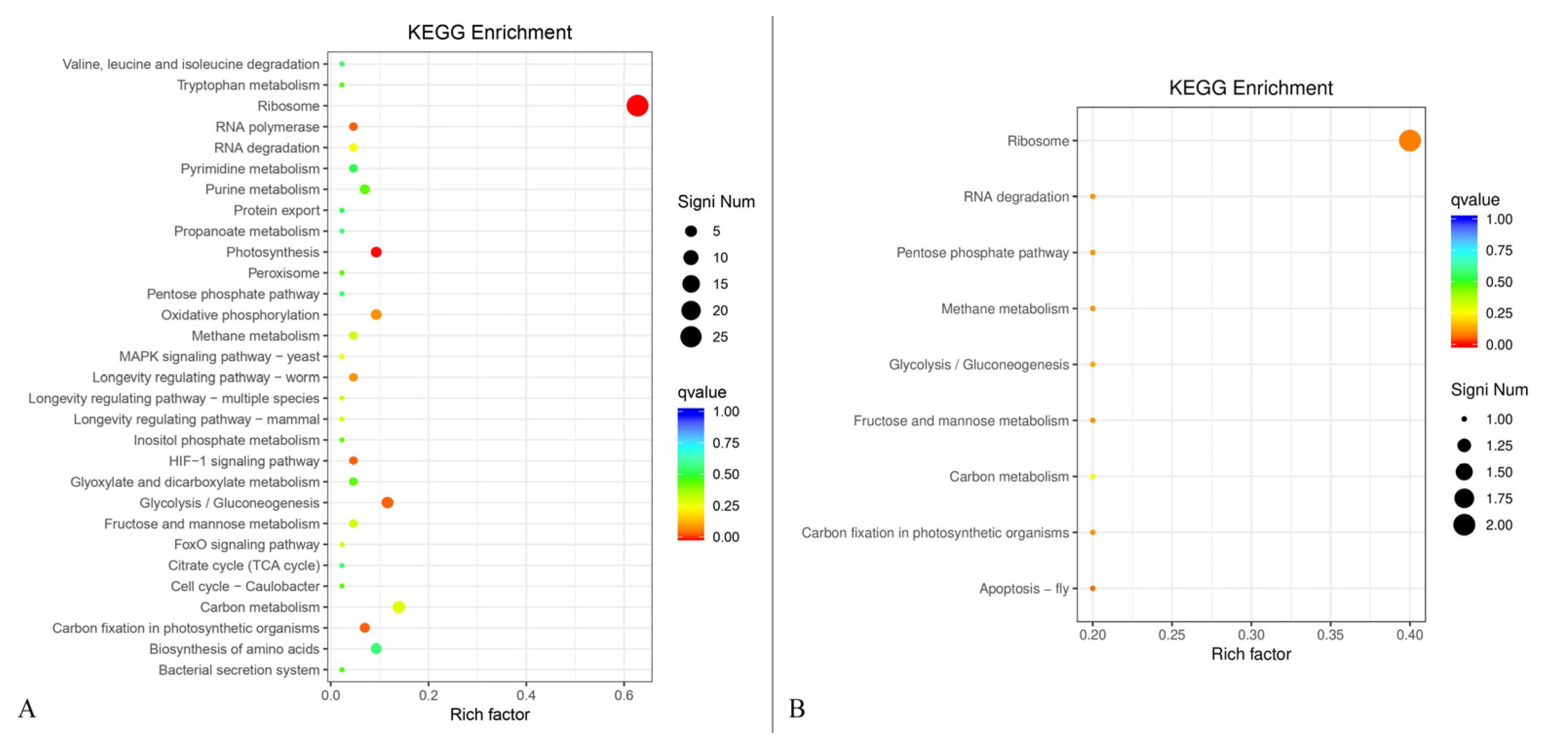 Metabolites 13 00785 g010 Metabolites 13 00785 g010