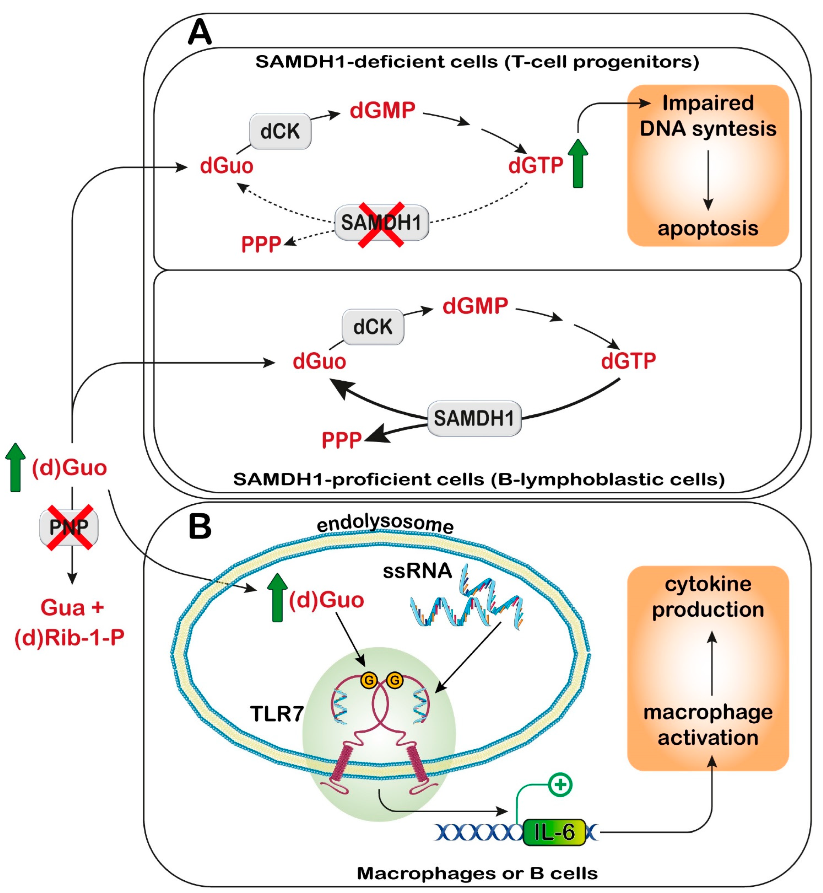 Metabolites 13 00787 g006
