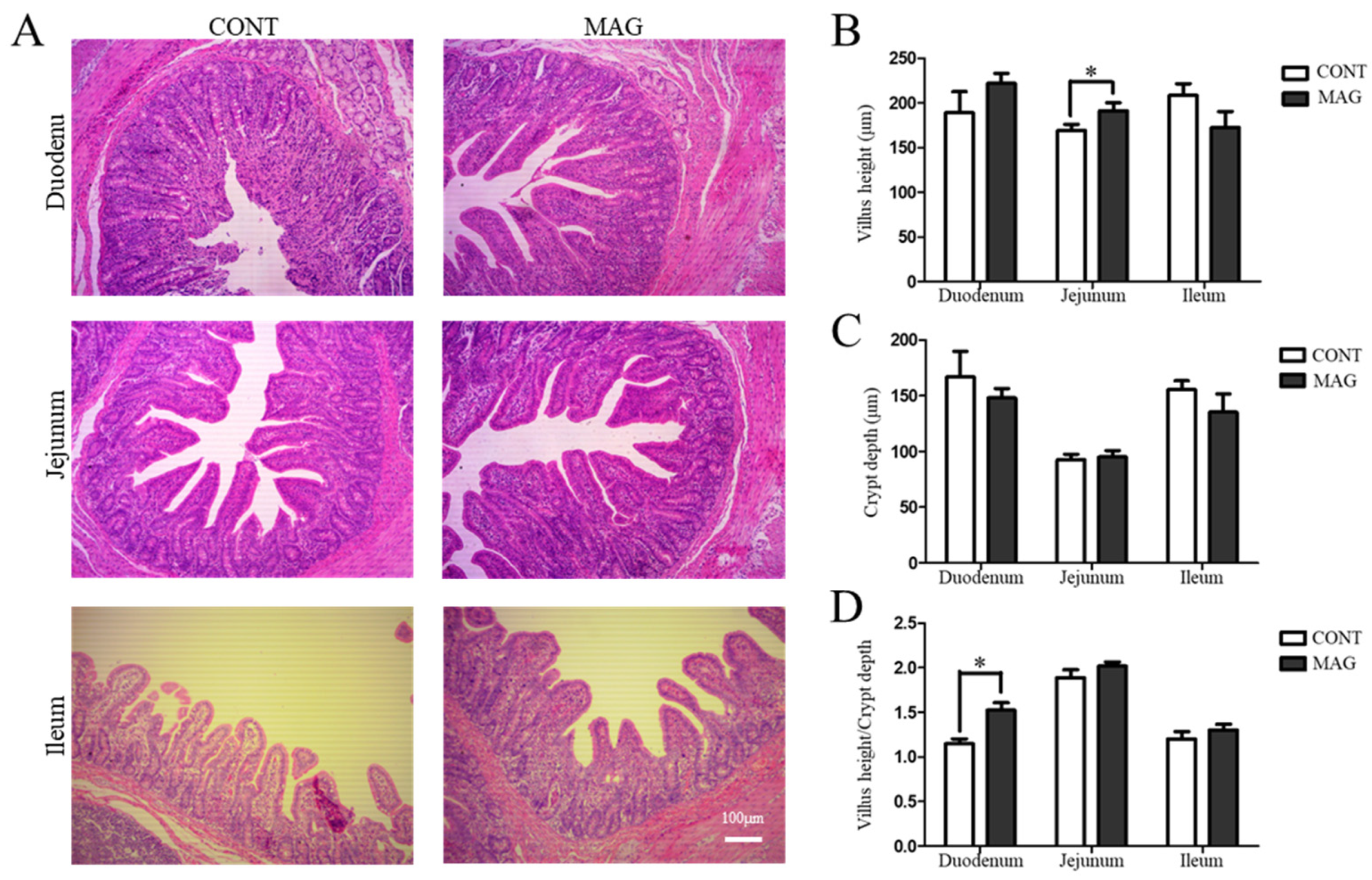 Metabolites 13 00797 g001 Metabolites 13 00797 g001