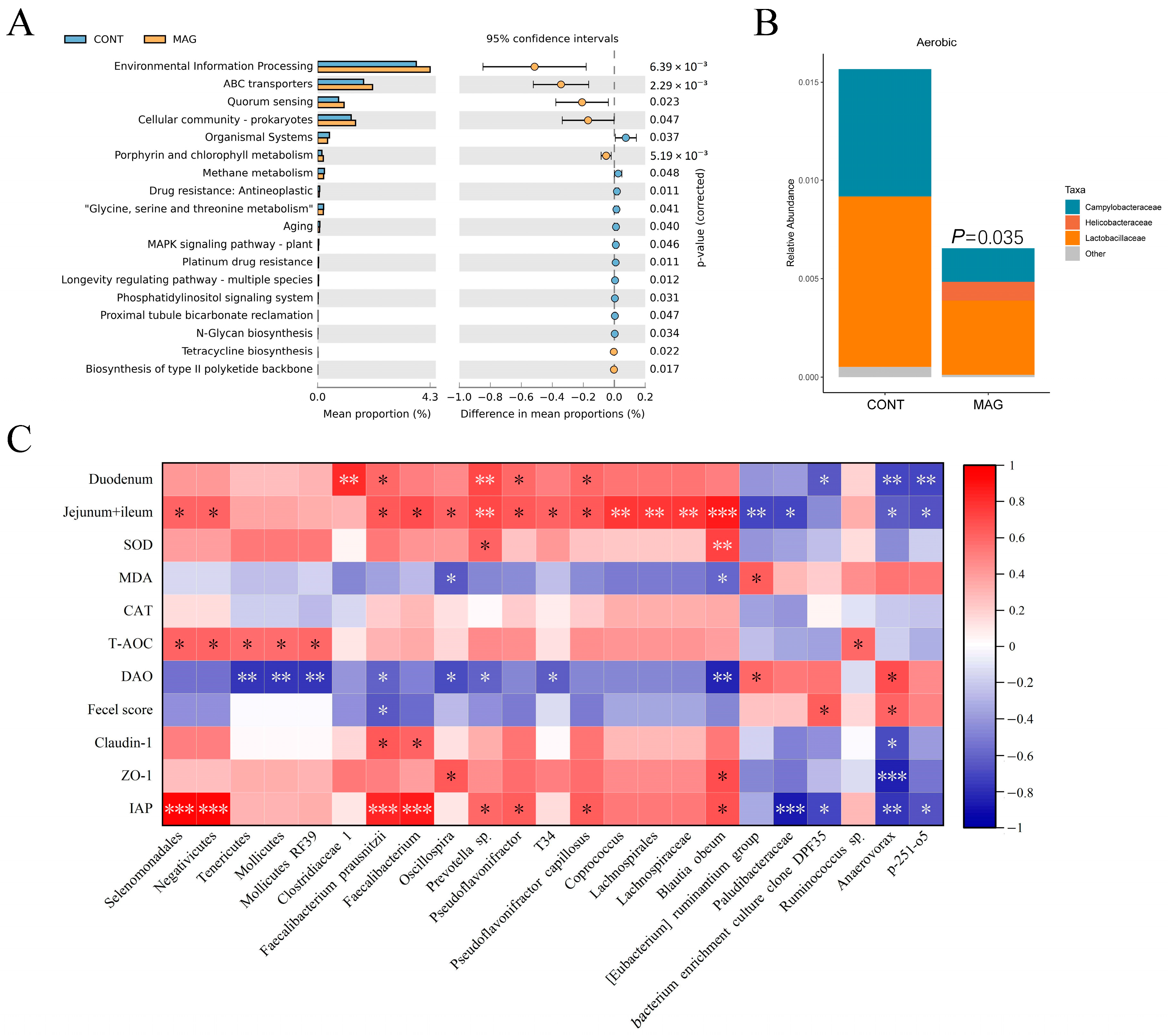 Metabolites 13 00797 g005 Metabolites 13 00797 g005