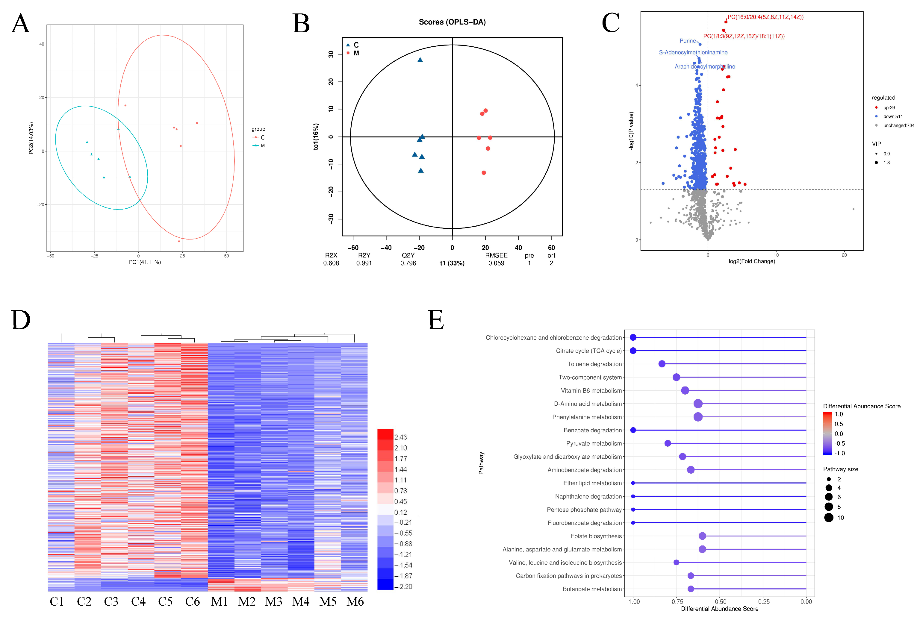 Metabolites 13 00797 g006 Metabolites 13 00797 g006