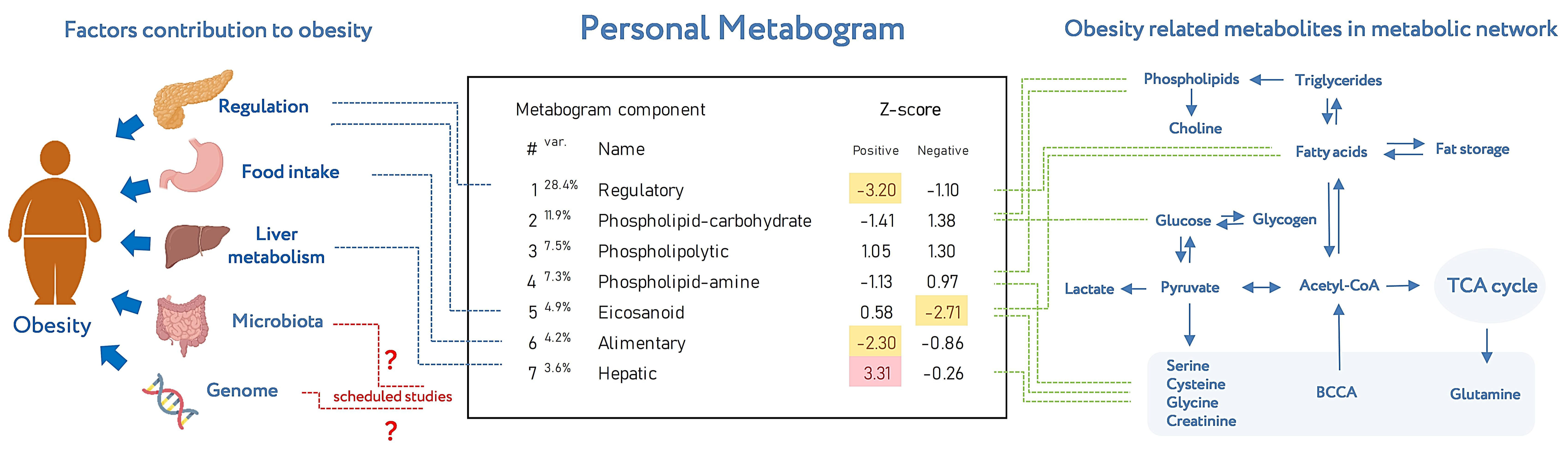 Metabolites 13 00798 g008 Metabolites 13 00798 g008