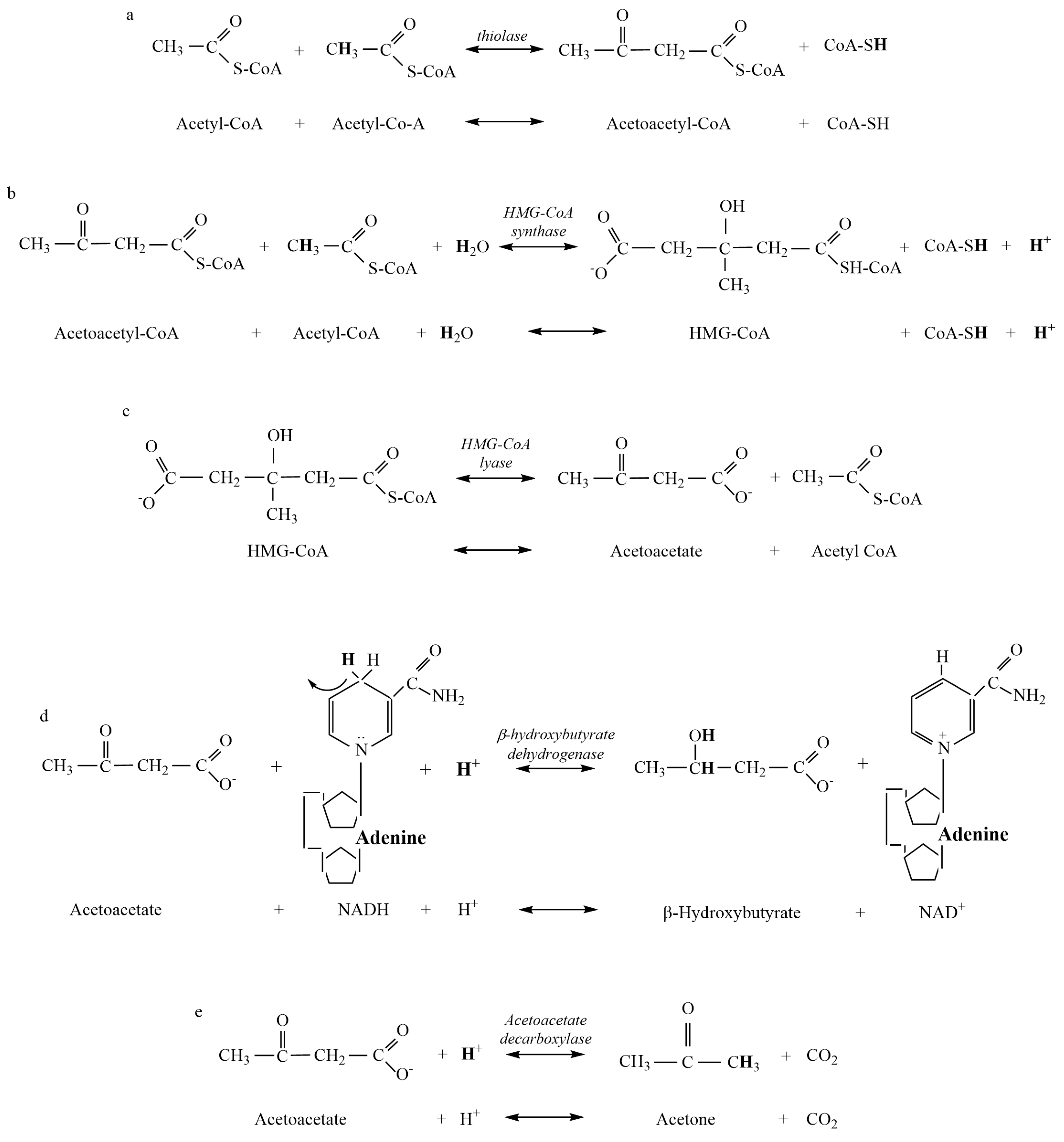 Metabolites 13 00803 g001