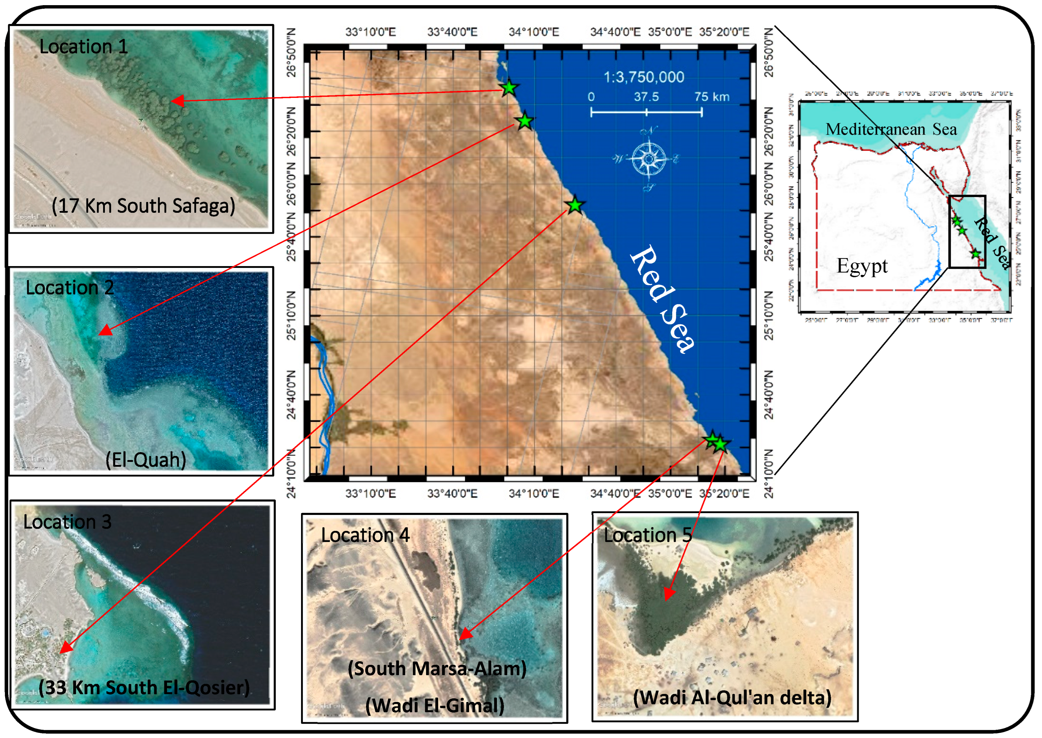 Metabolites 13 00808 g001