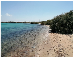 Metabolites 13 00808 i002