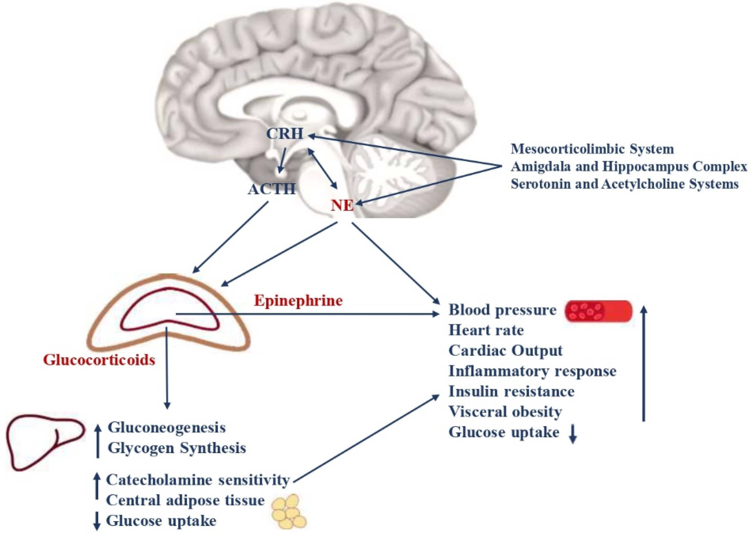 Metabolites 13 00810 g001