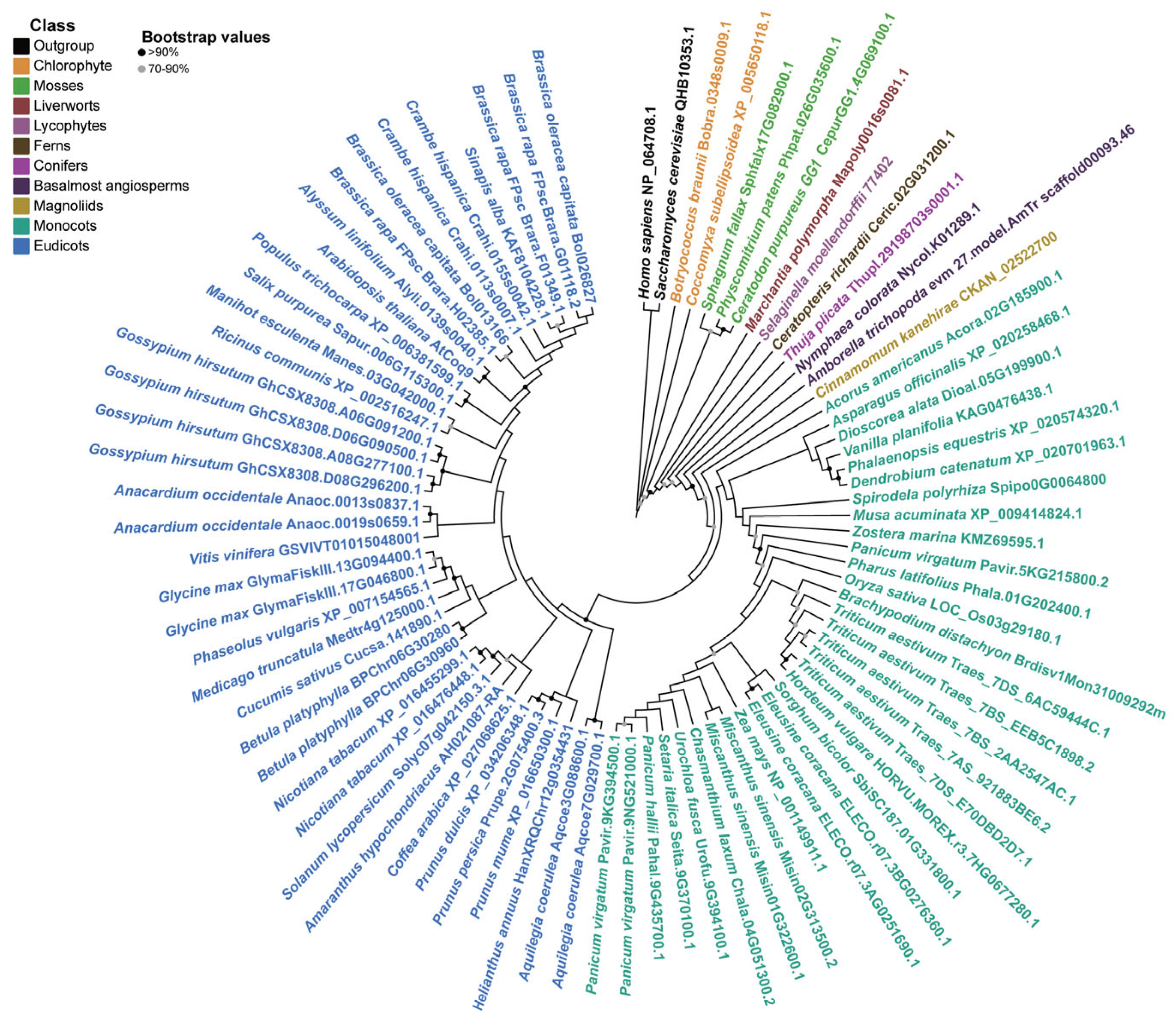Metabolites 13 00813 g001